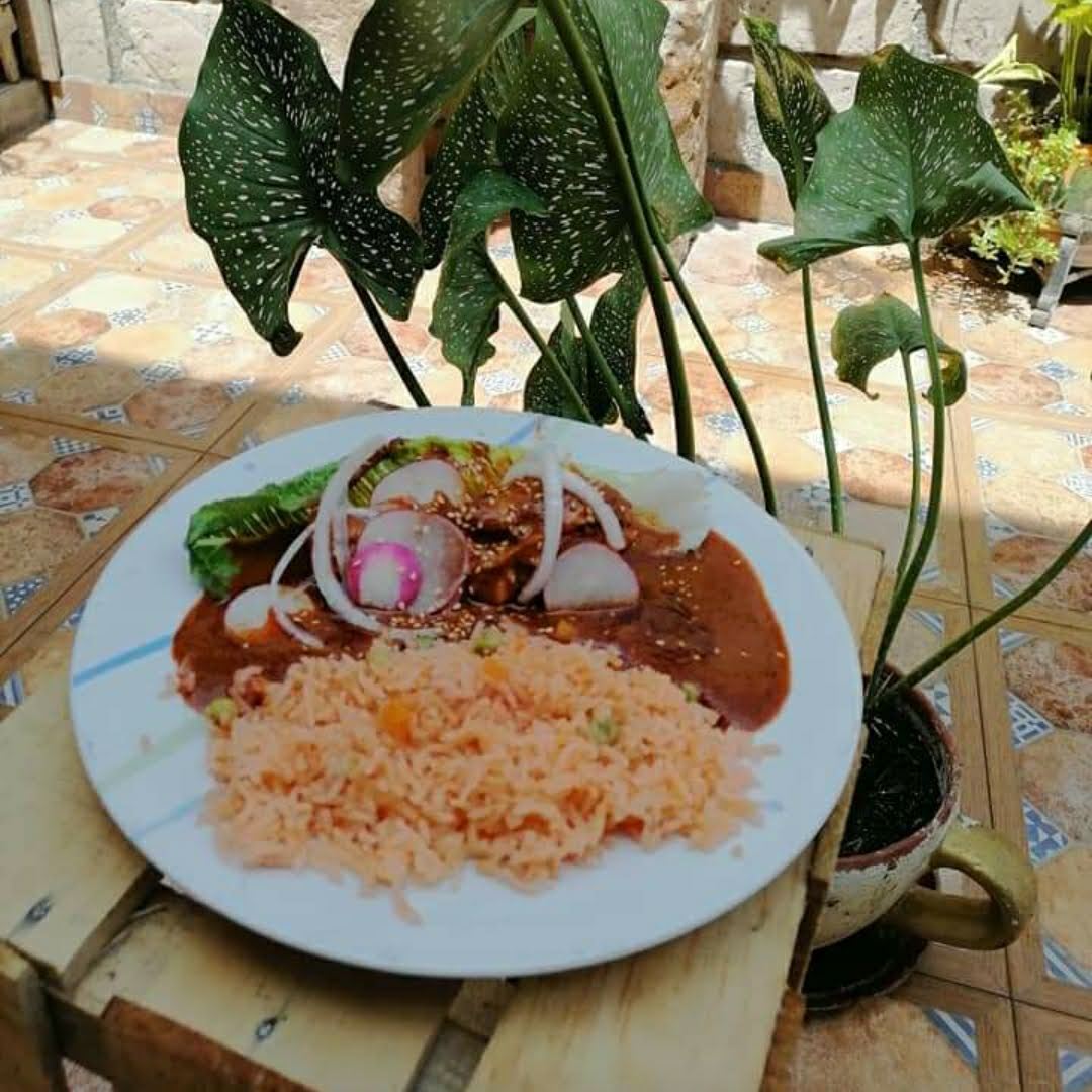 Mole Doña Martha image 9