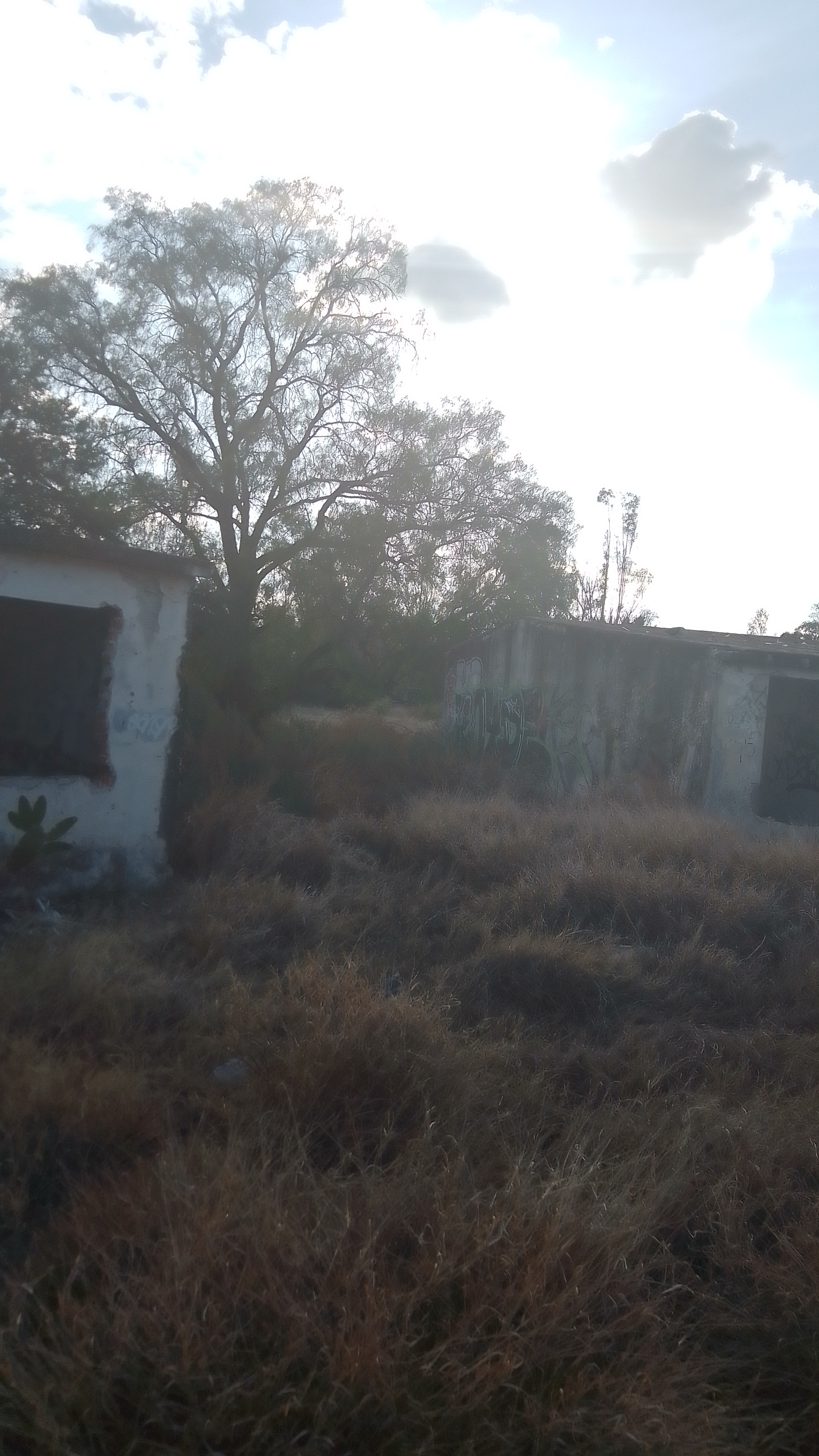 La Cafeterita de Isabelle image 9