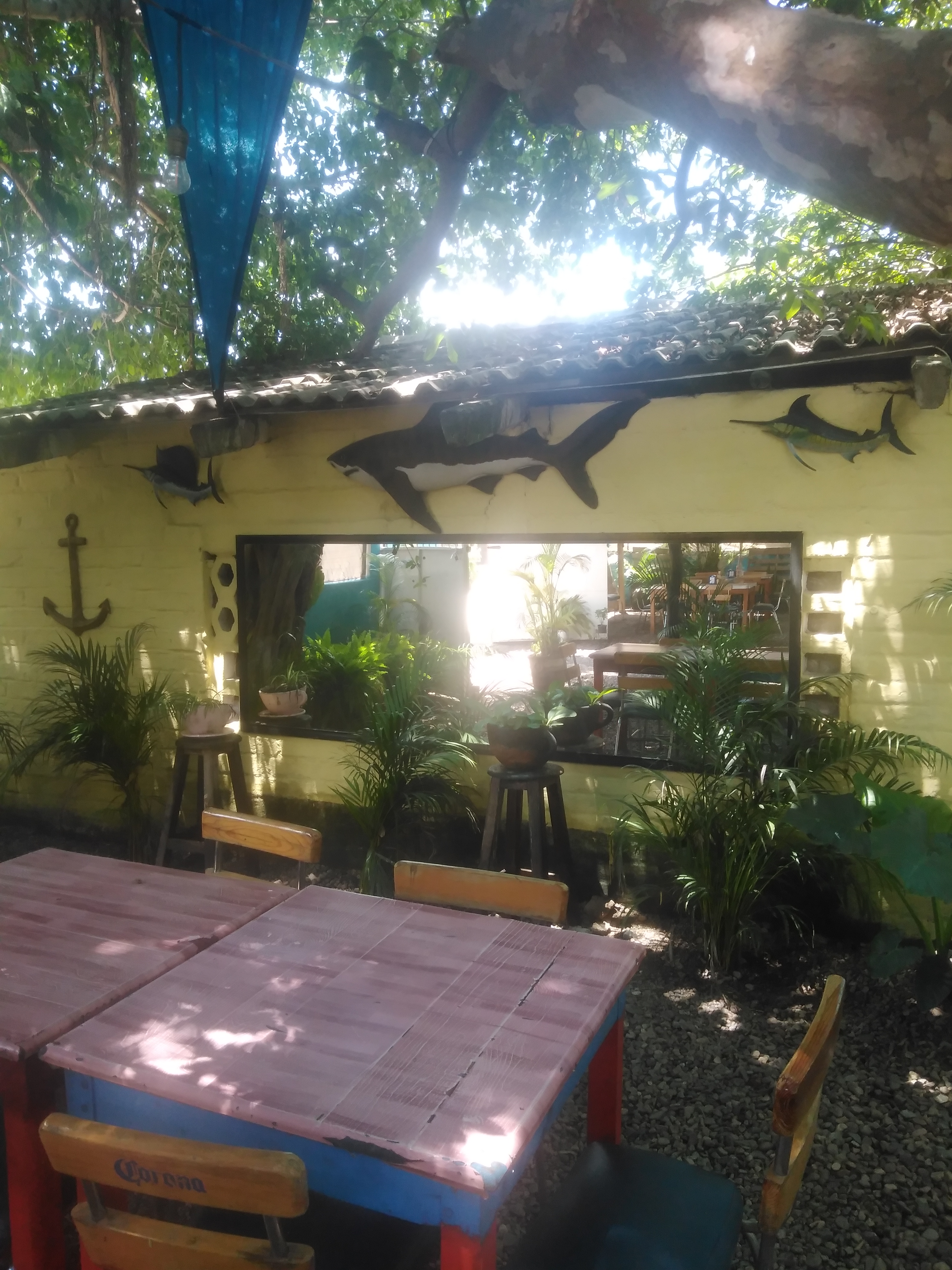 Mariscos Migue pv image 1