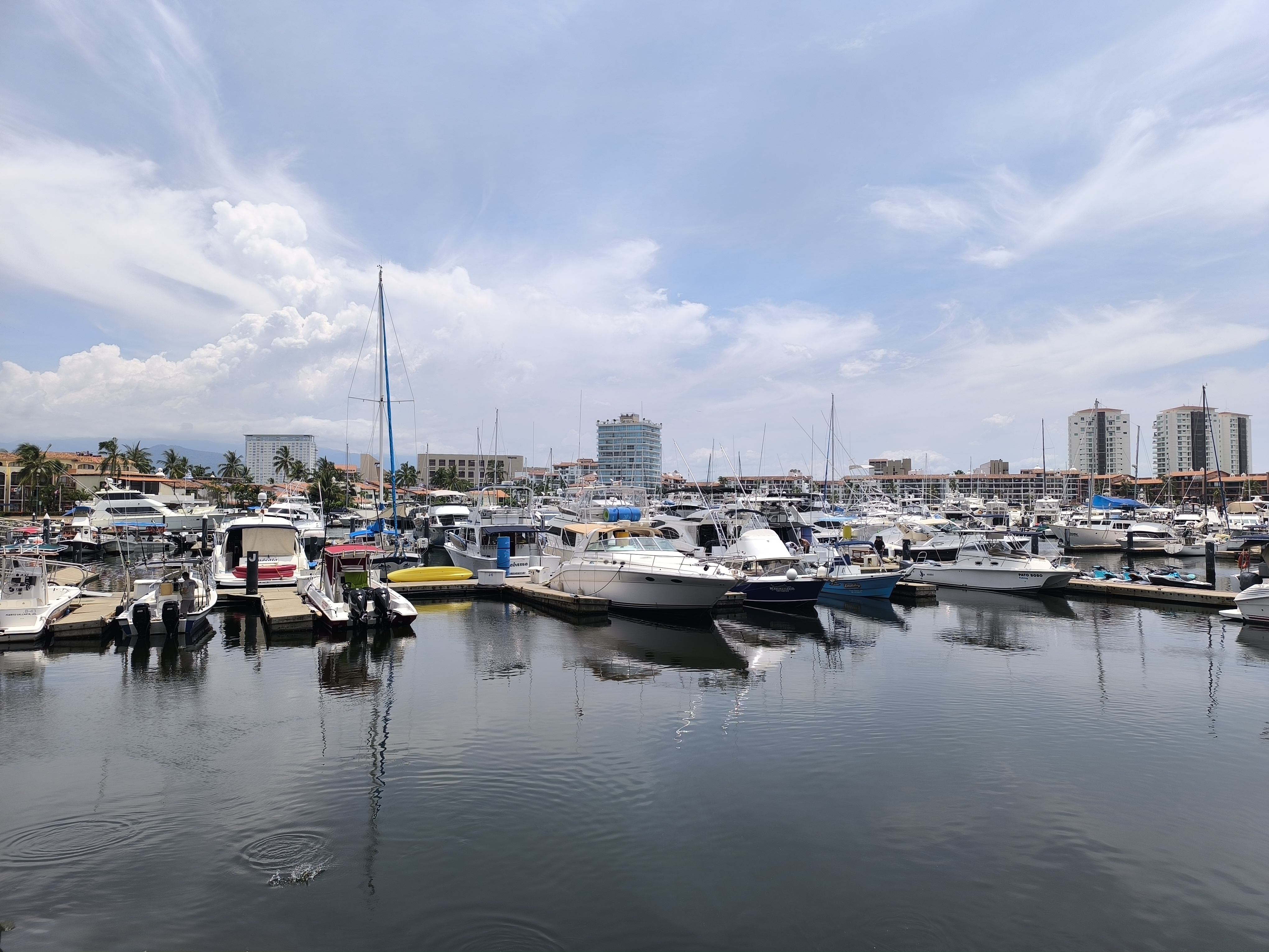 Mariscos 8 Tostadas image 9