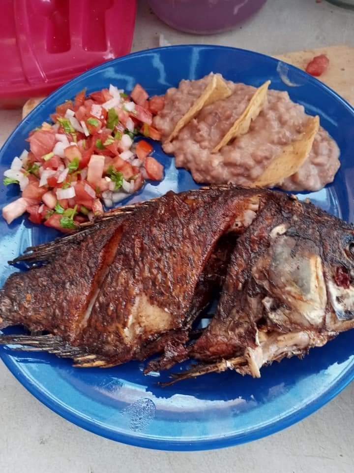 Fonda mamá choco image 4