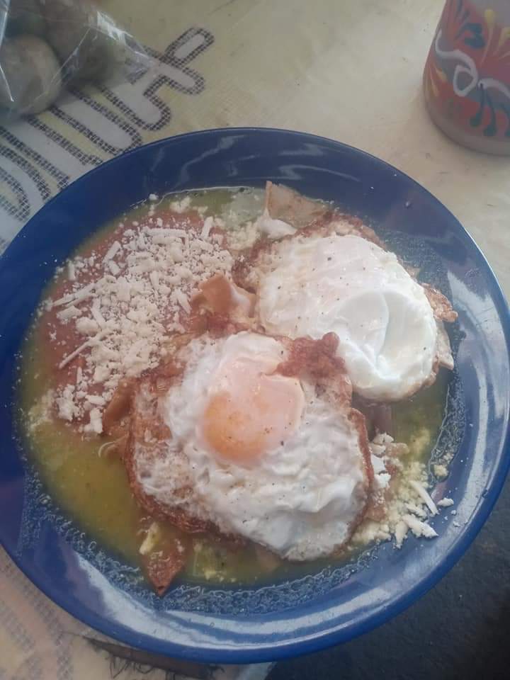 Fonda mamá choco image 5