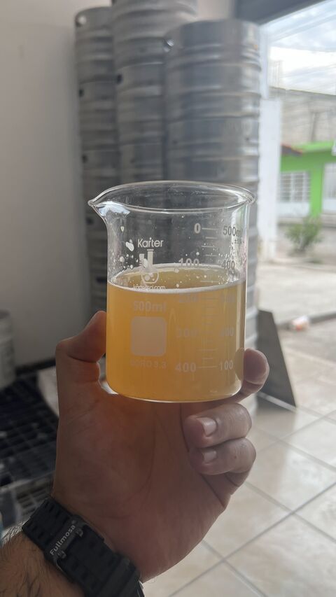 Cervecería Río Ameca image 5