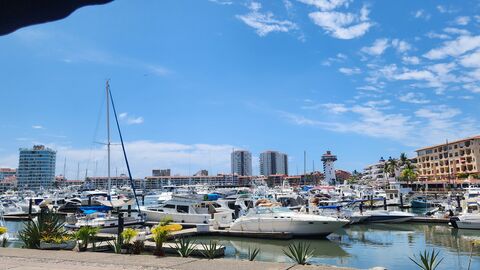 El Torito #1SportsBar & BBQ House image 5