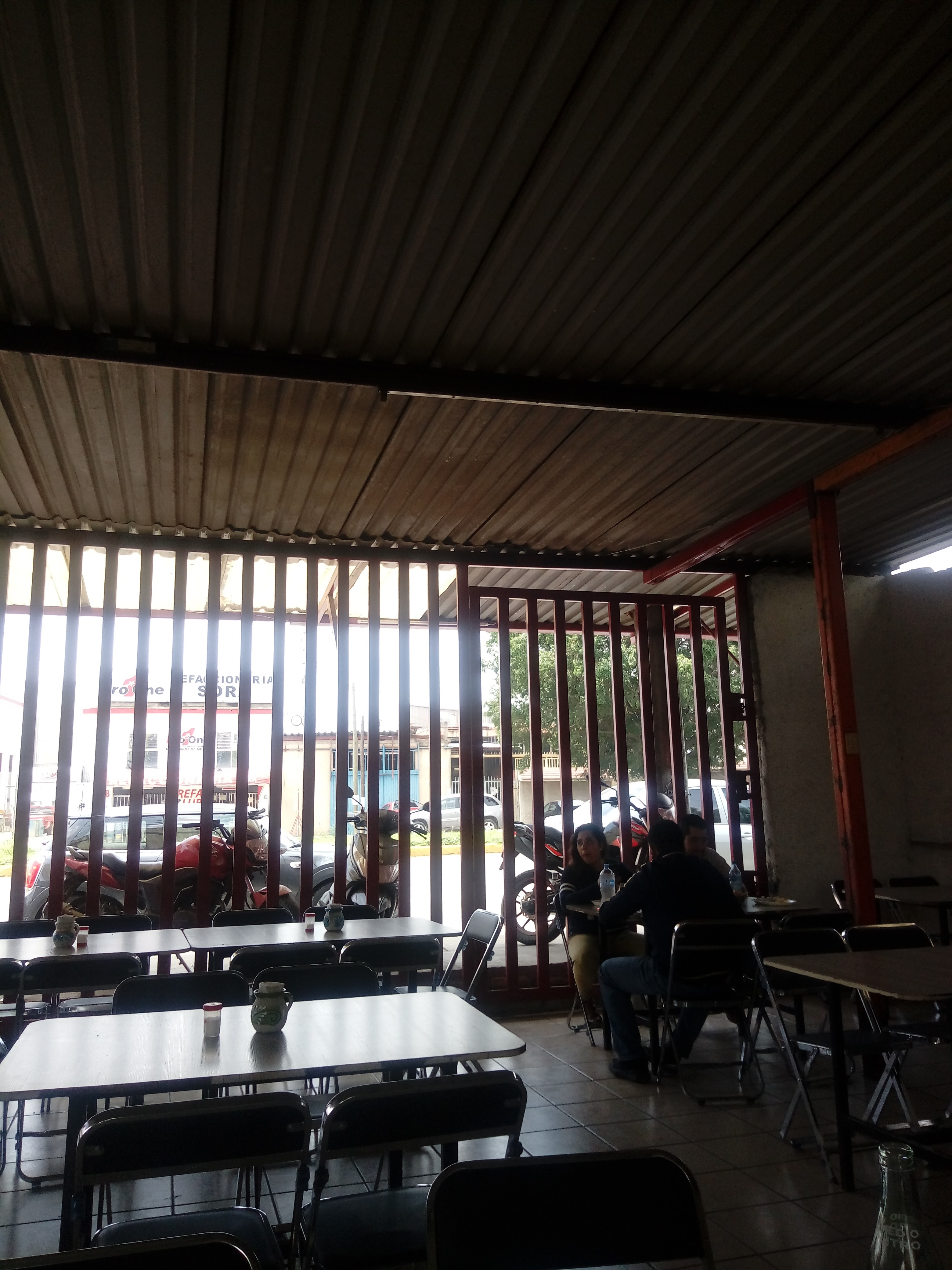 Su Majestad el Pollo image 3