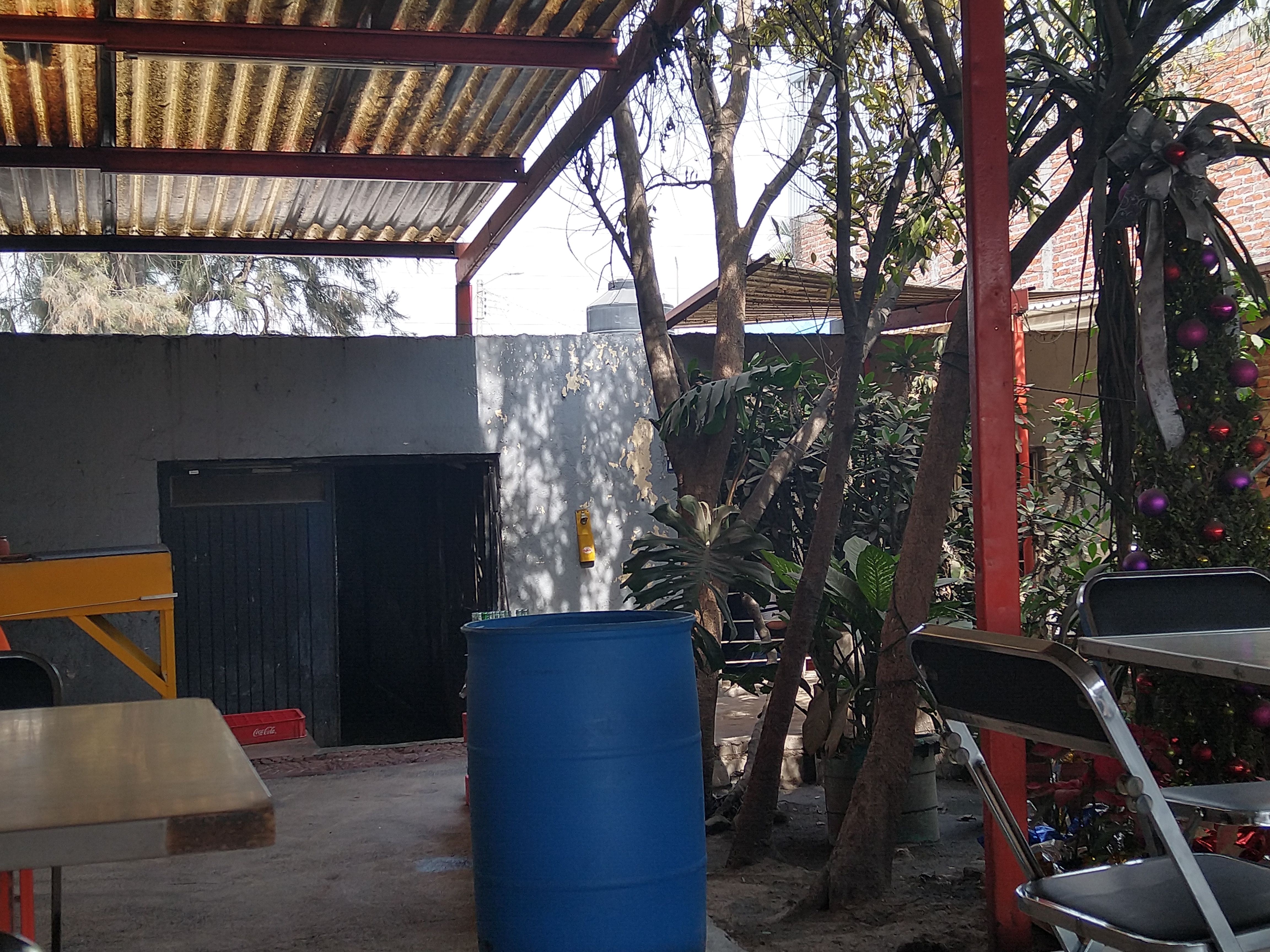 Su Majestad el Pollo image 7