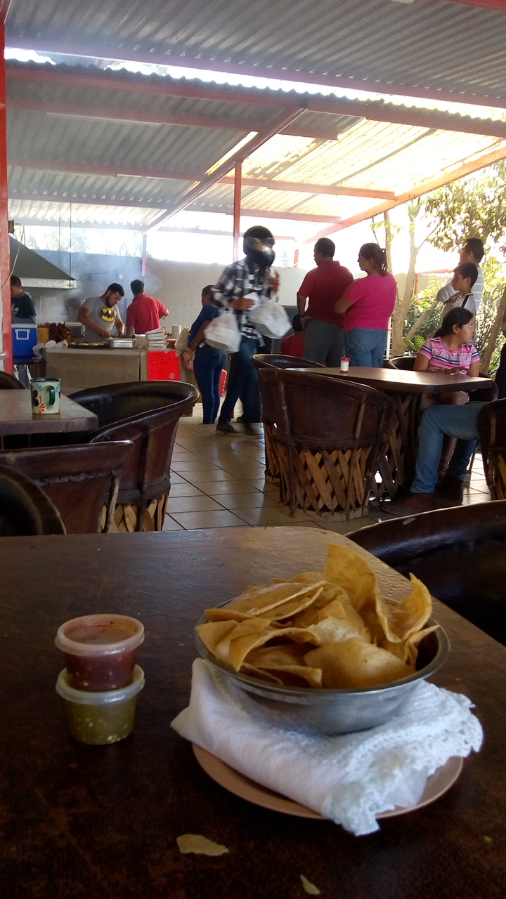 Su Majestad el Pollo image 9