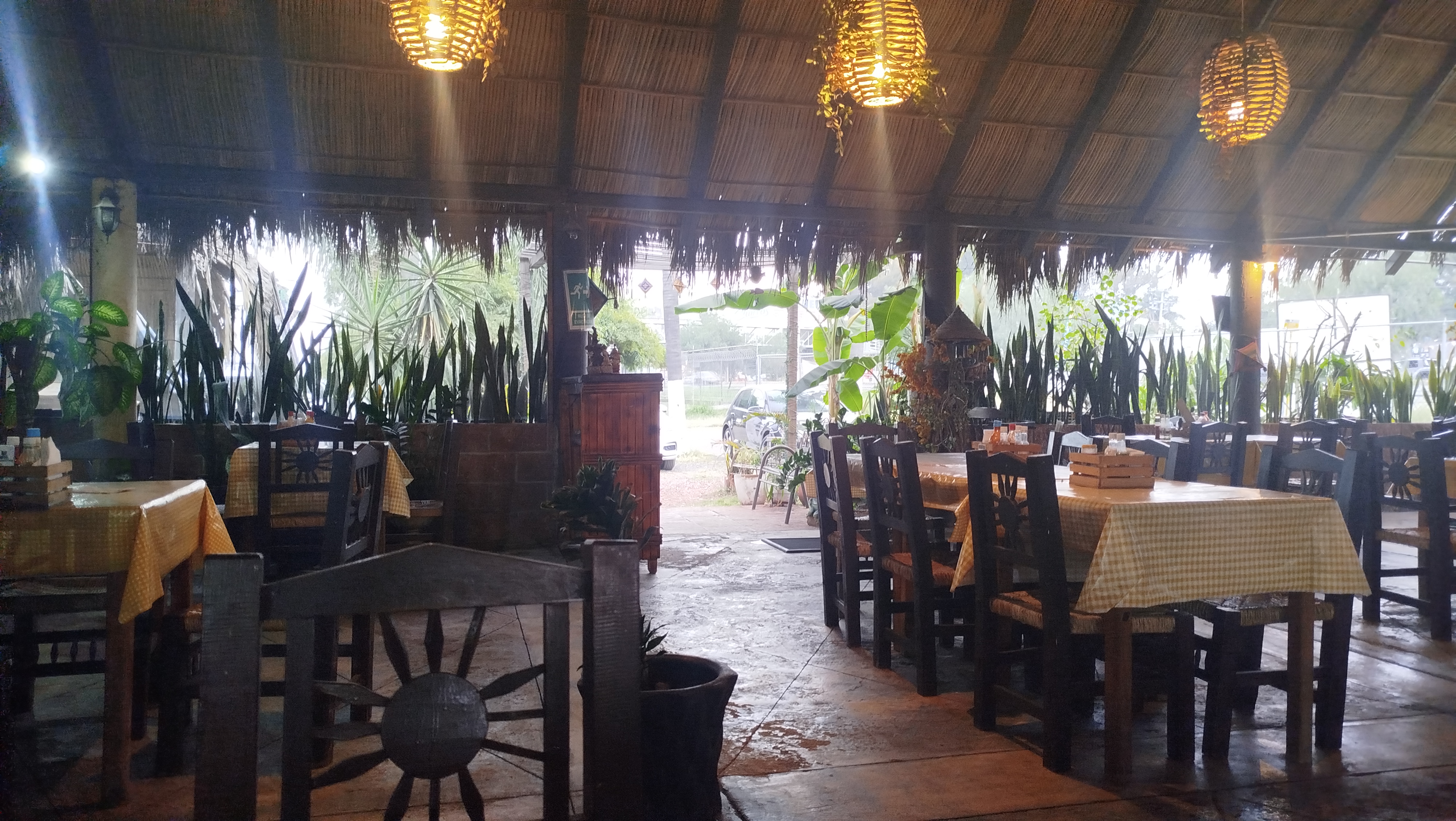 Marisco de Nayarit image 1