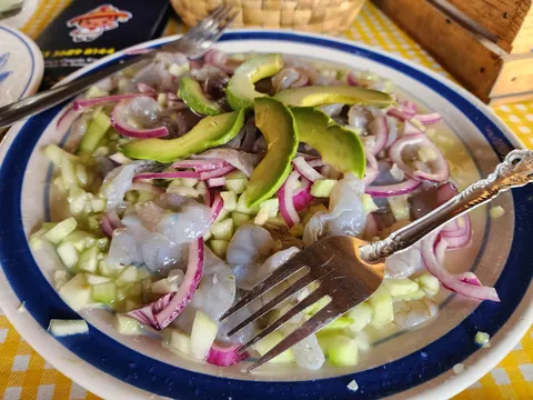 Marisco de Nayarit image 3