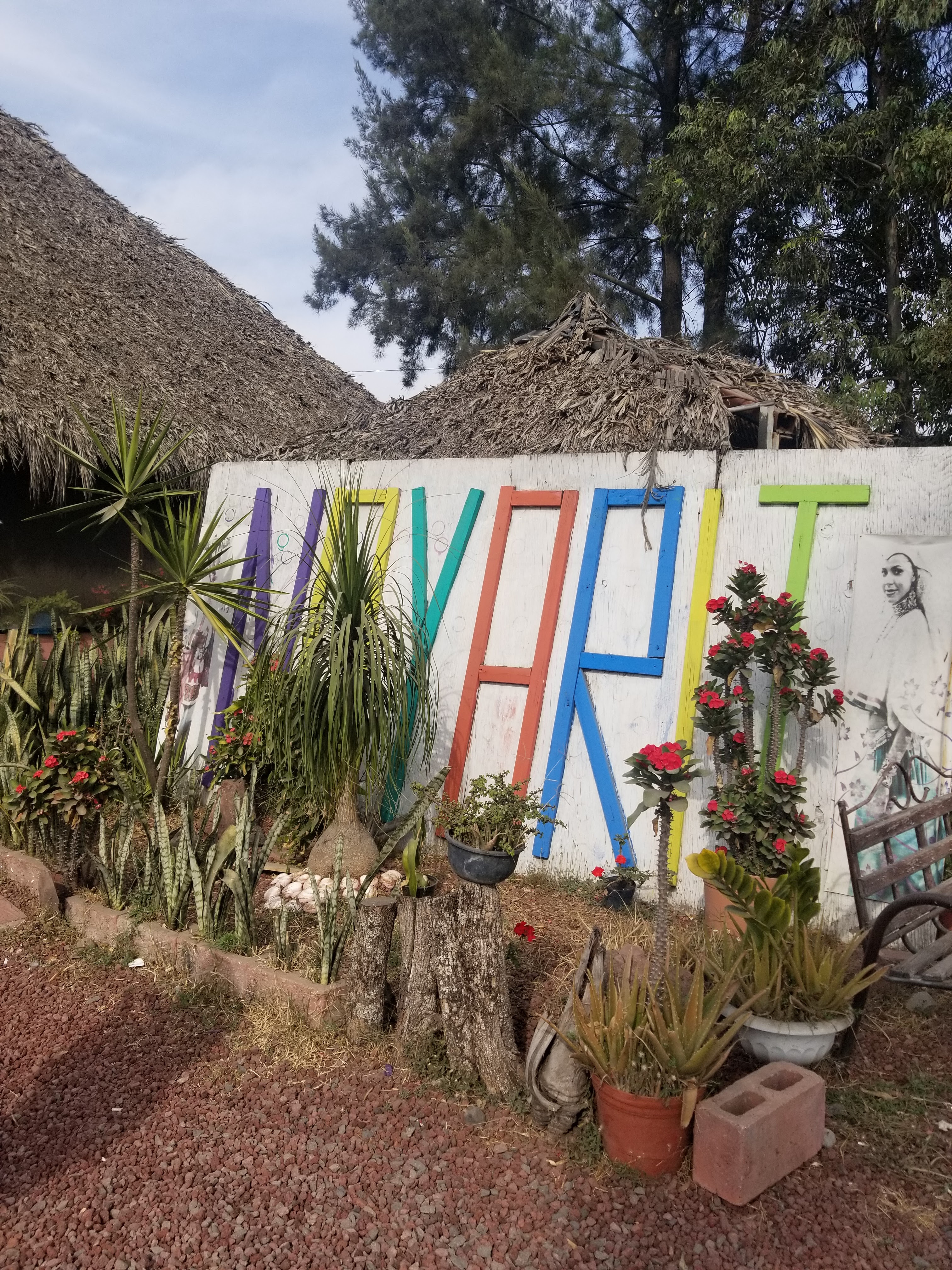 Marisco de Nayarit image 6