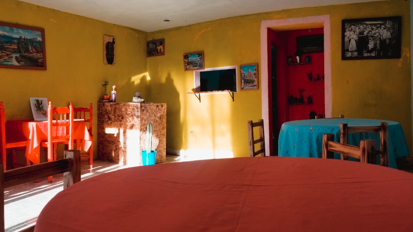 Crazy Cat Pizza image 4