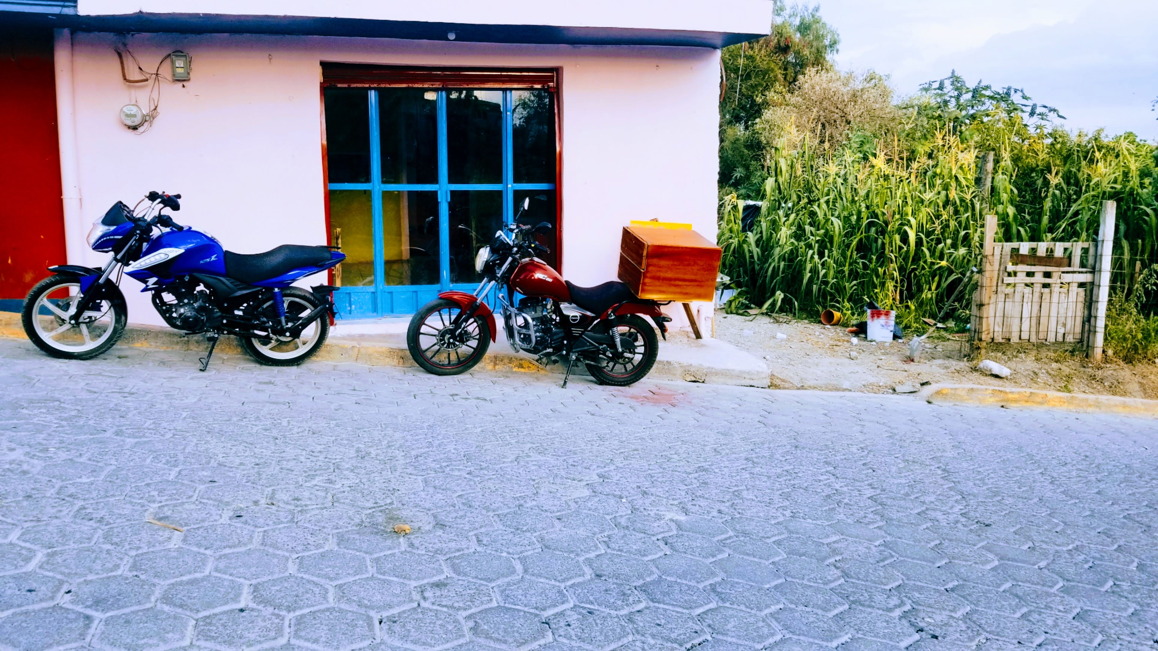 Crazy Cat Pizza image 6