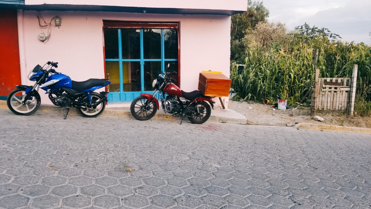 Crazy Cat Pizza image 8