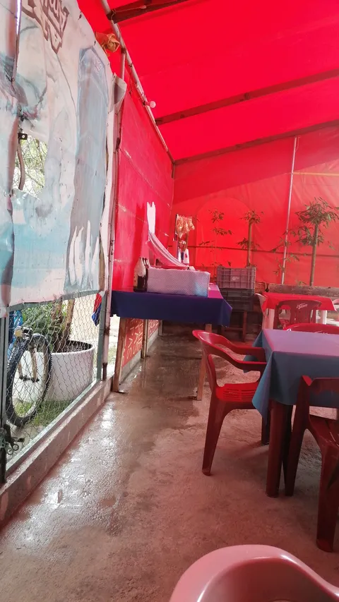 La carpa image 3