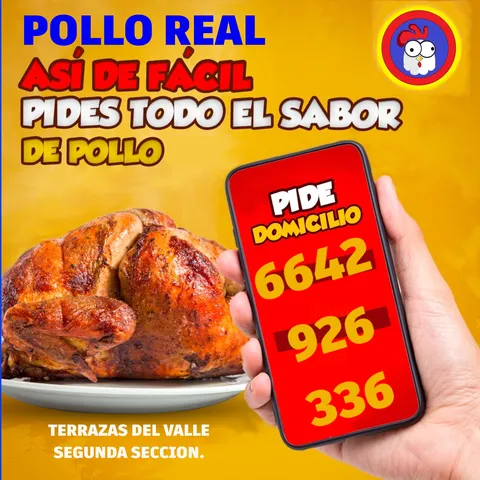 Pollo real image 7
