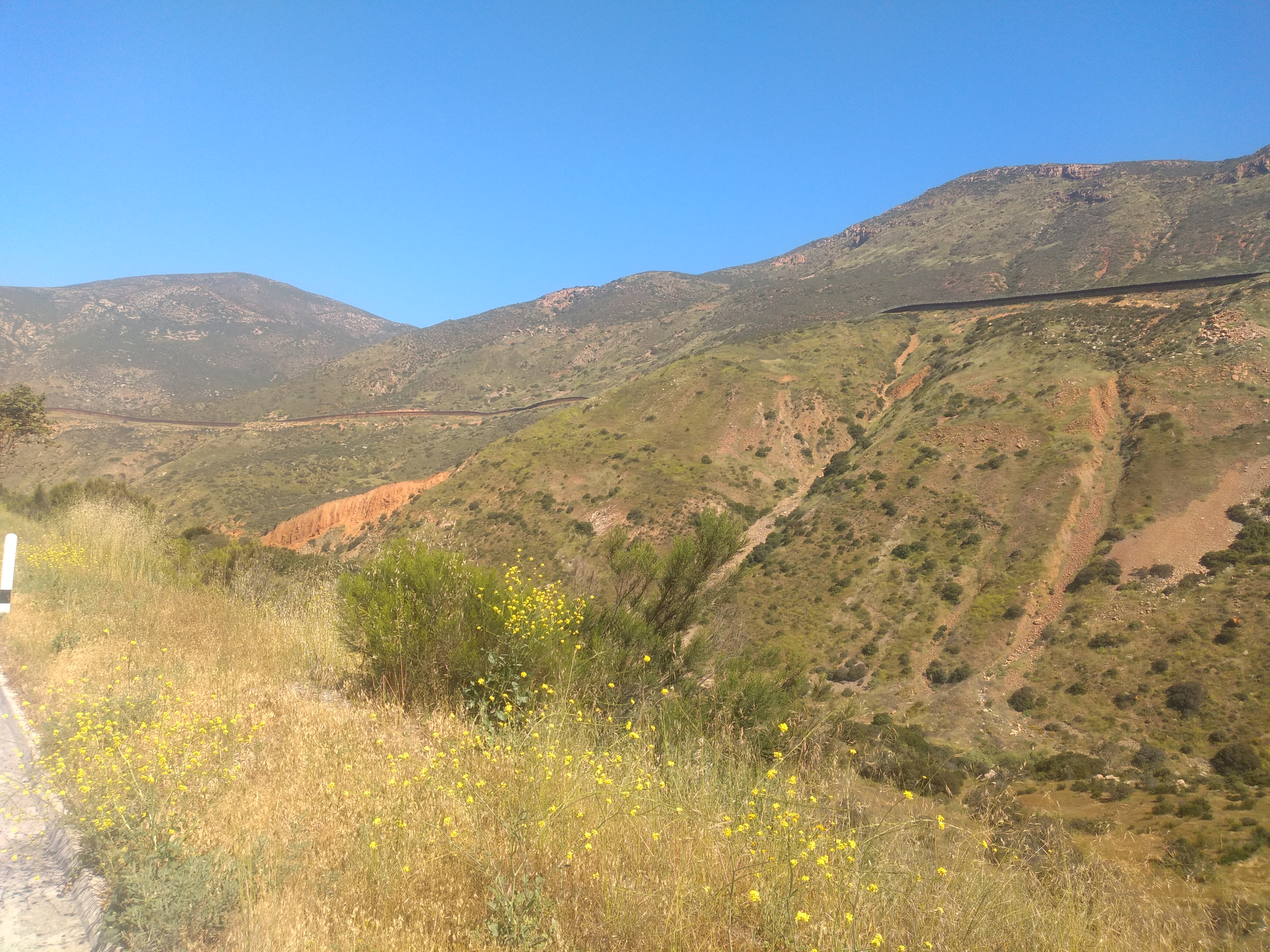 Protein Bar Nova image 1