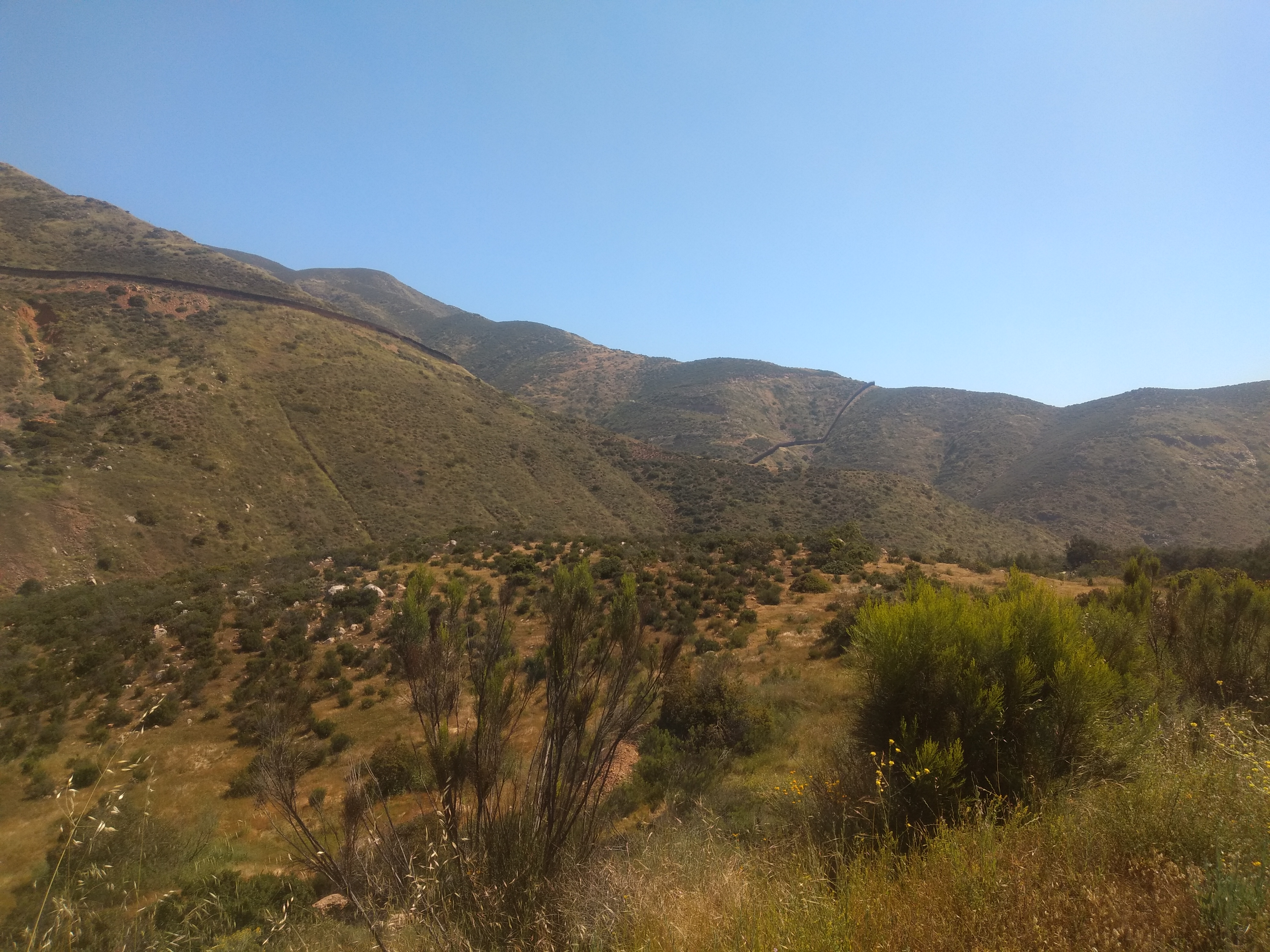 Protein Bar Nova image 4