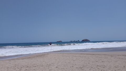 Tanta Vida image 7