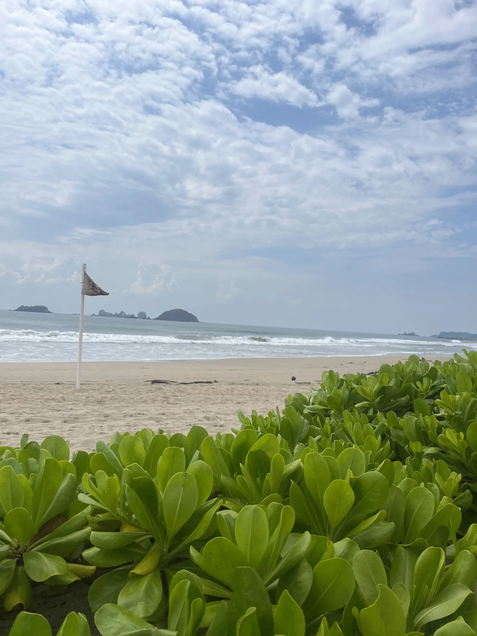 Tanta Vida image 9