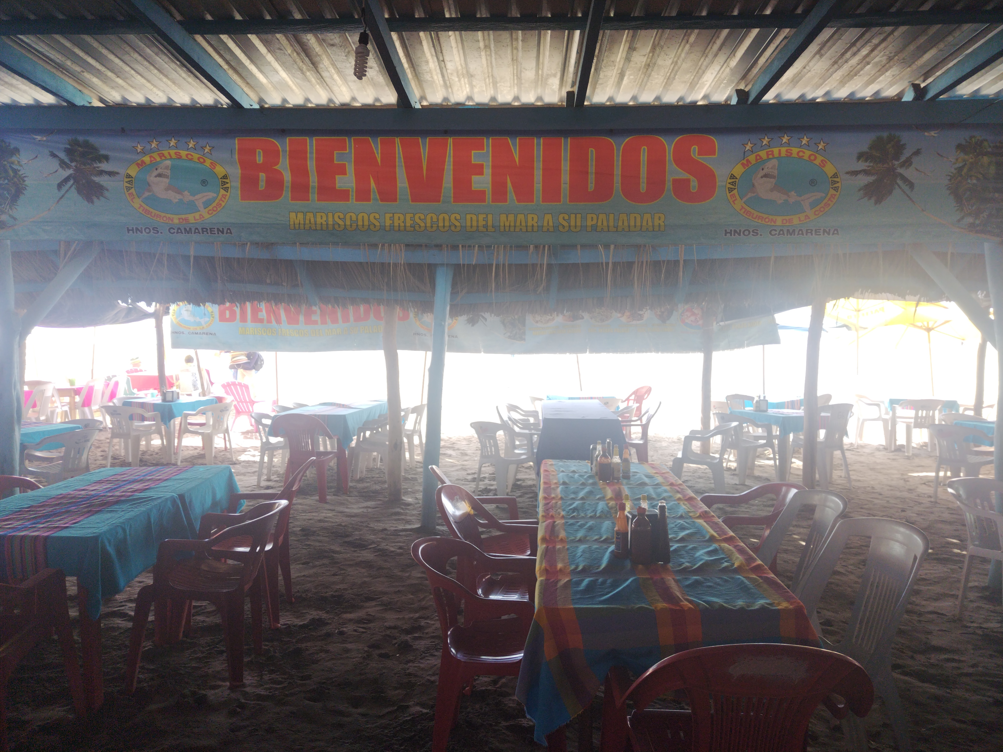 Tiburón de la Costa Playa Linda image 2