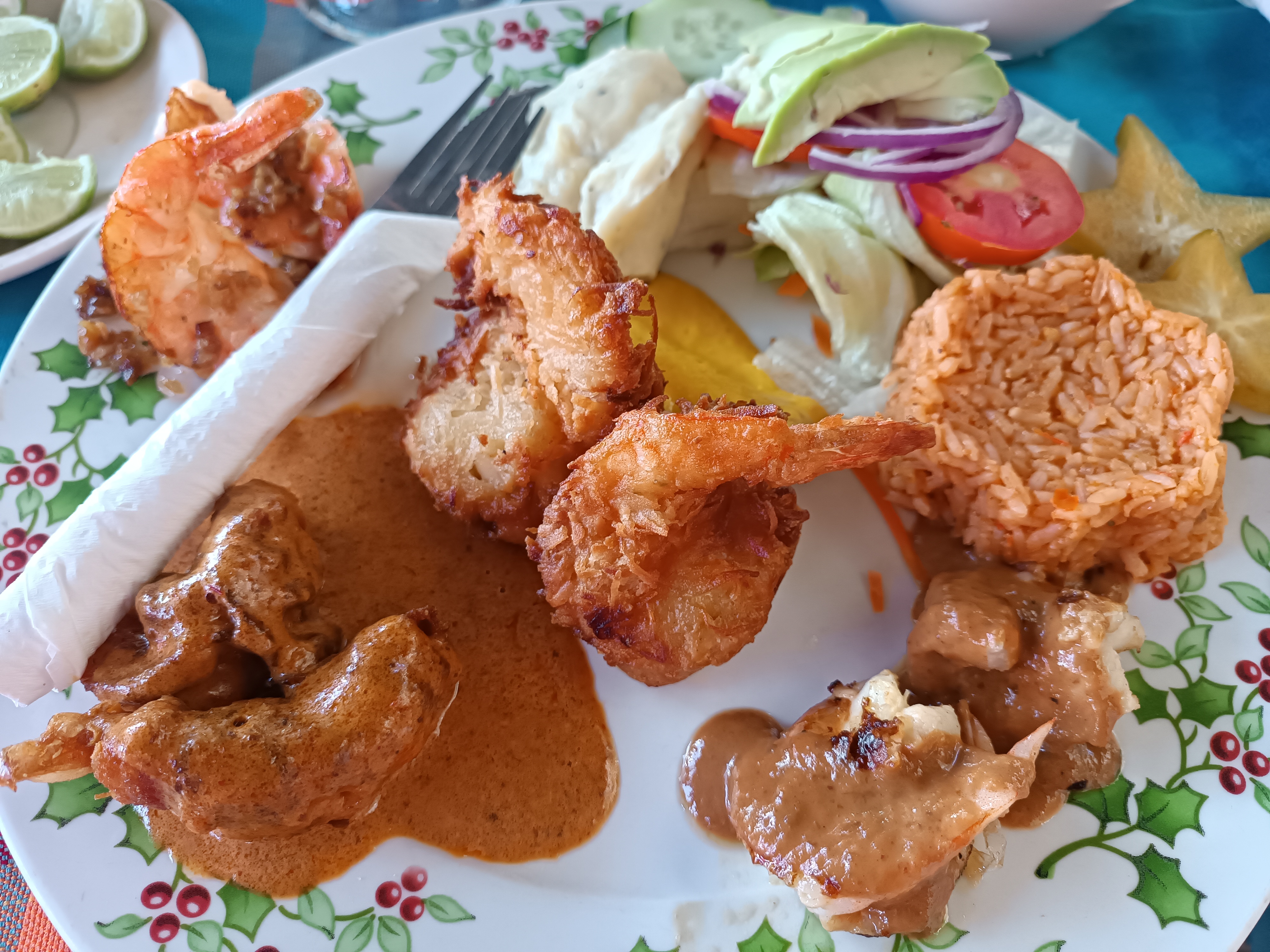 Tiburón de la Costa Playa Linda image 3