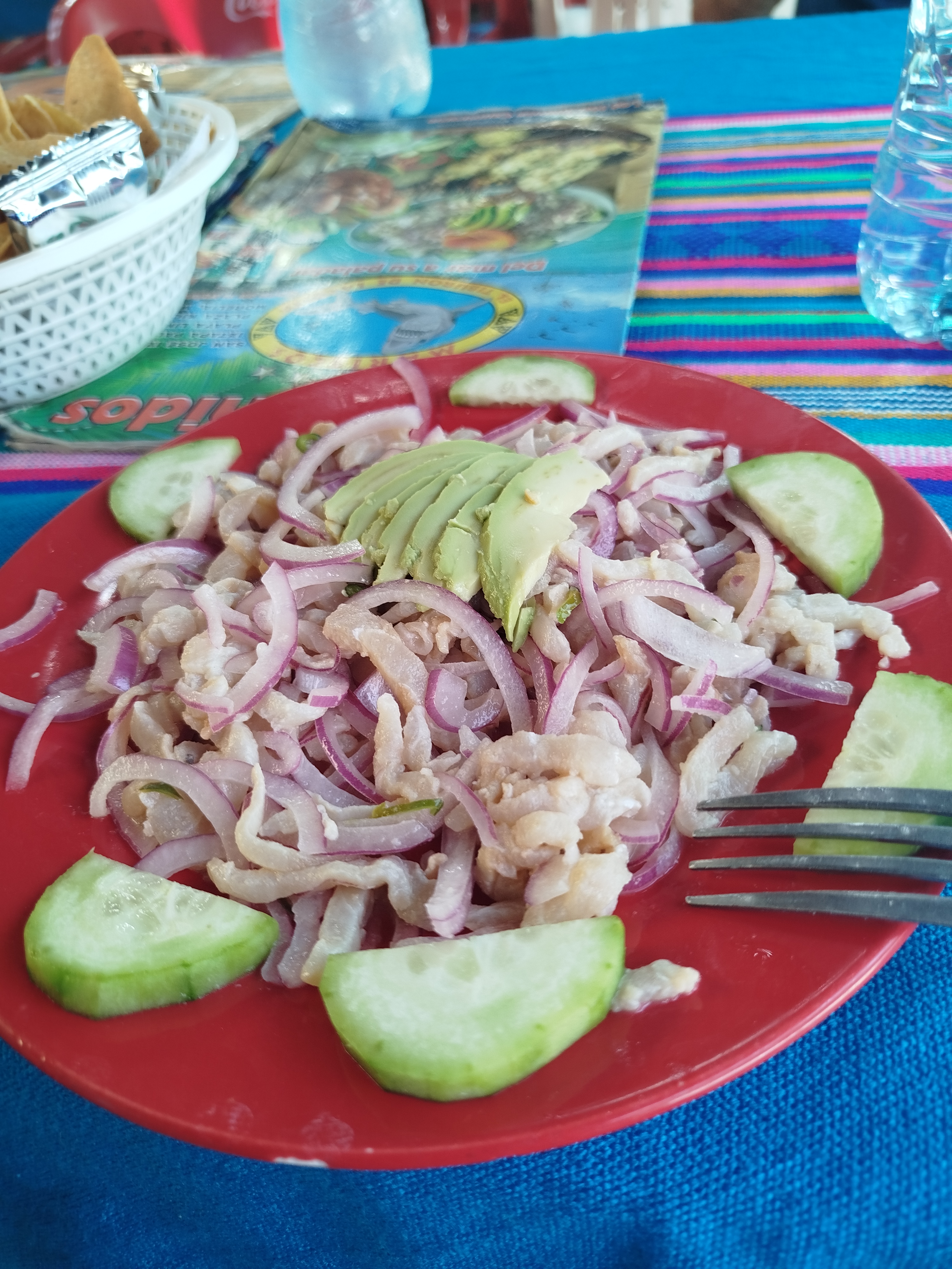 Tiburón de la Costa Playa Linda image 5