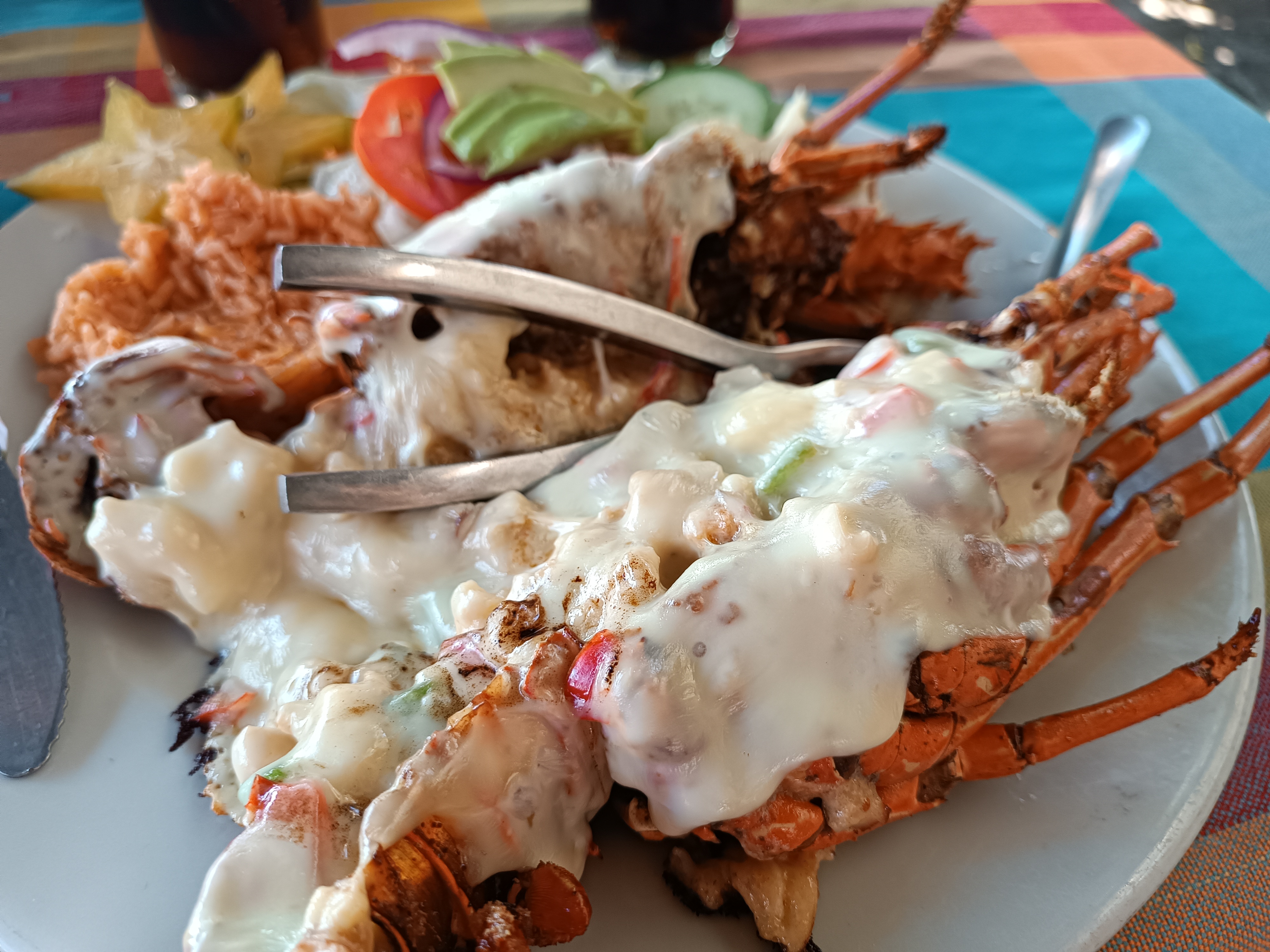 Tiburón de la Costa Playa Linda image 9