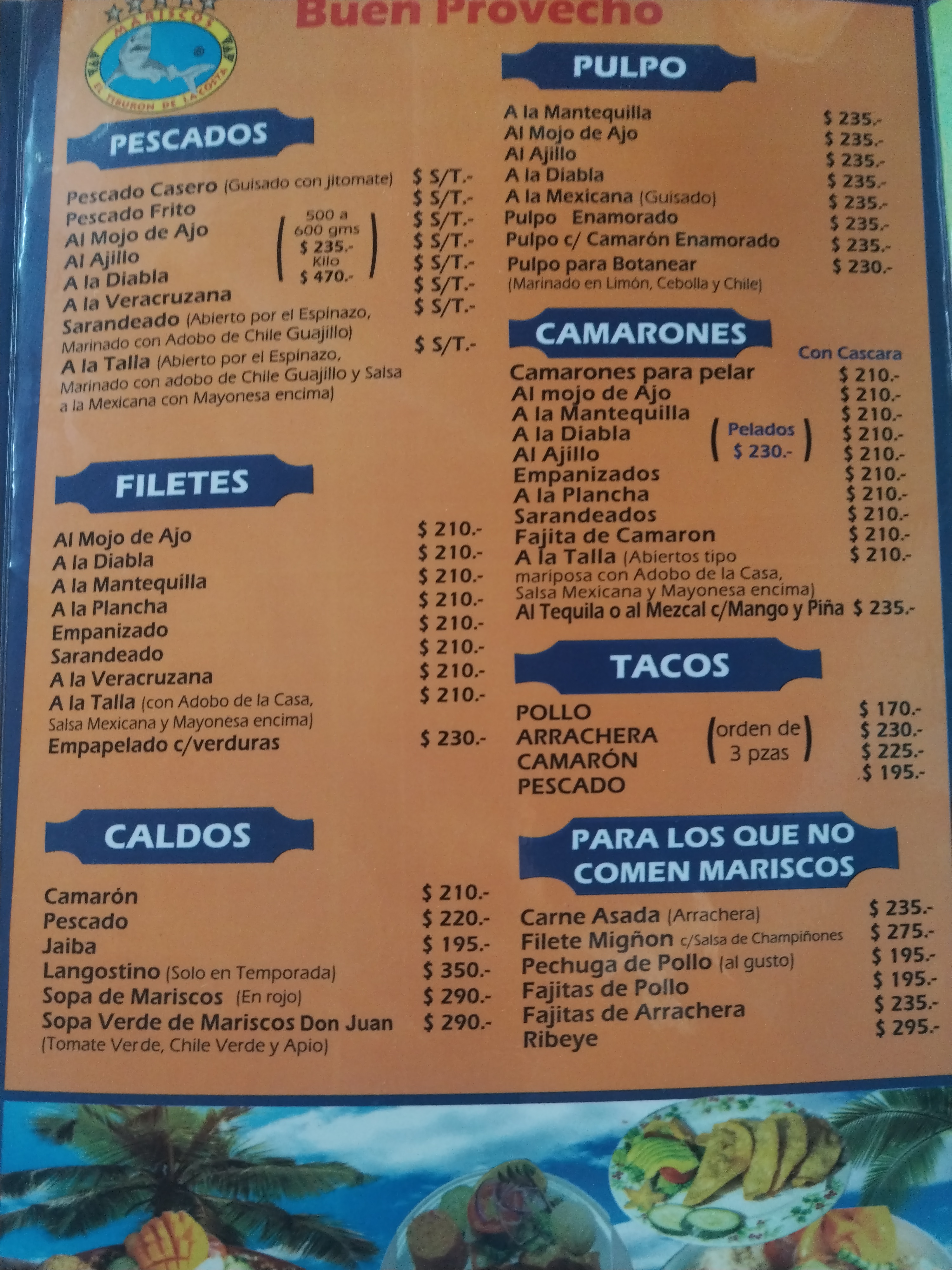 Tiburón de la Costa Playa Linda image 10