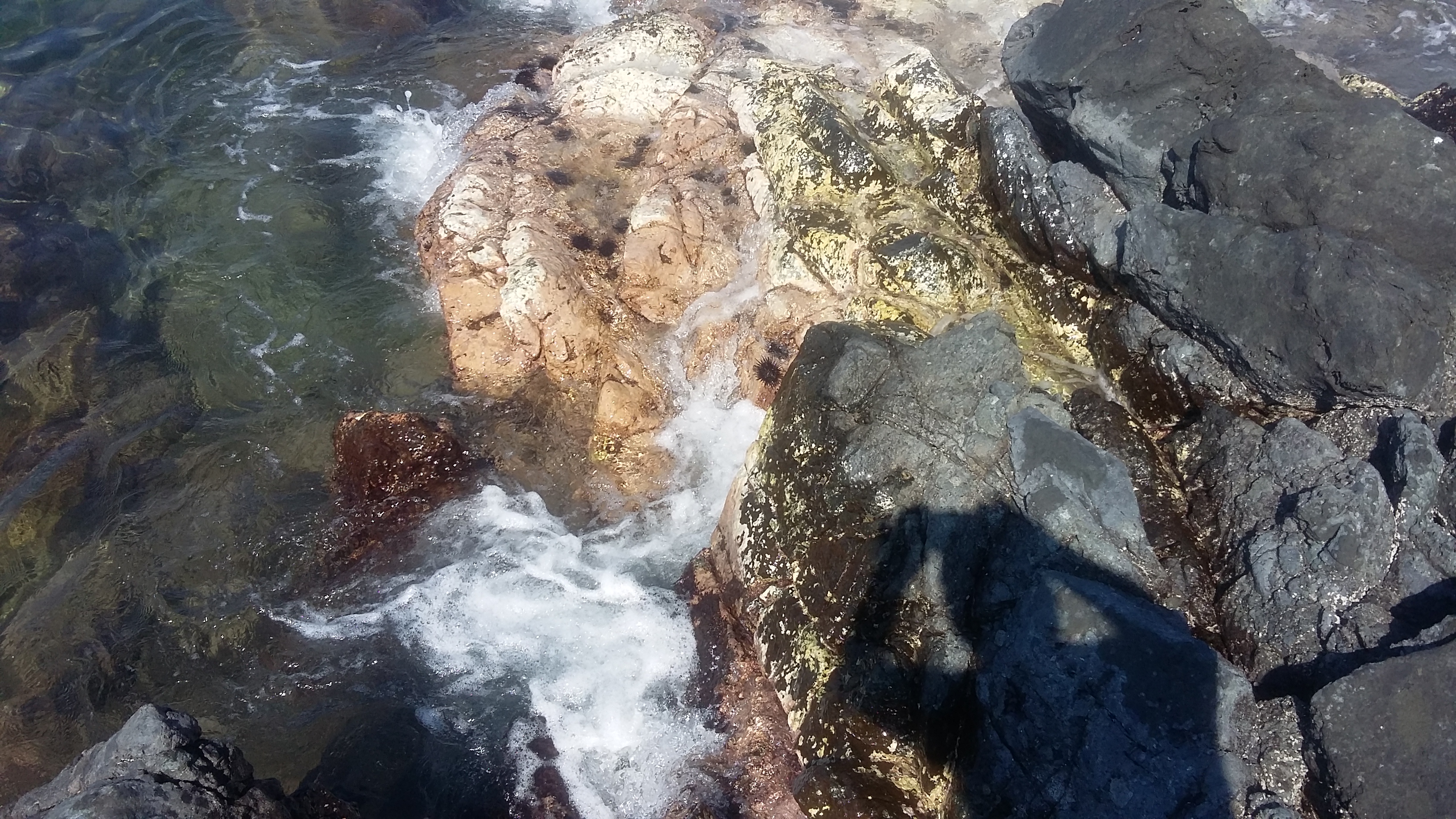 Restaurante Princeess Rebeca image 7