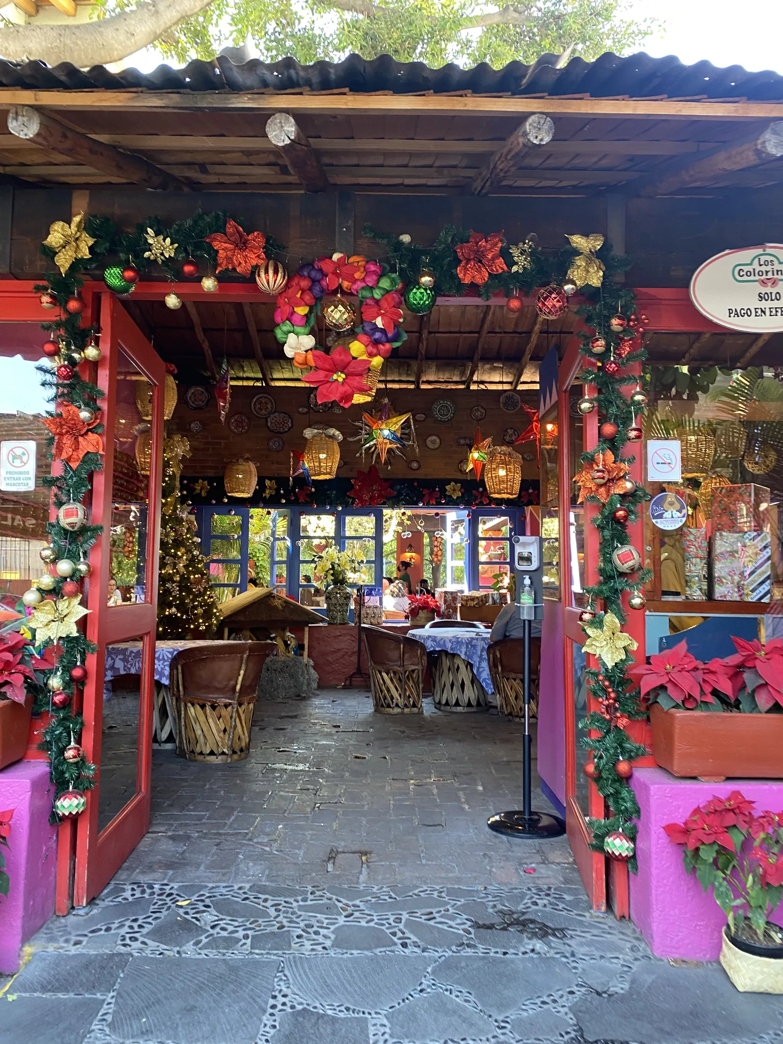 Los Colorines De Cuernavaca image 1