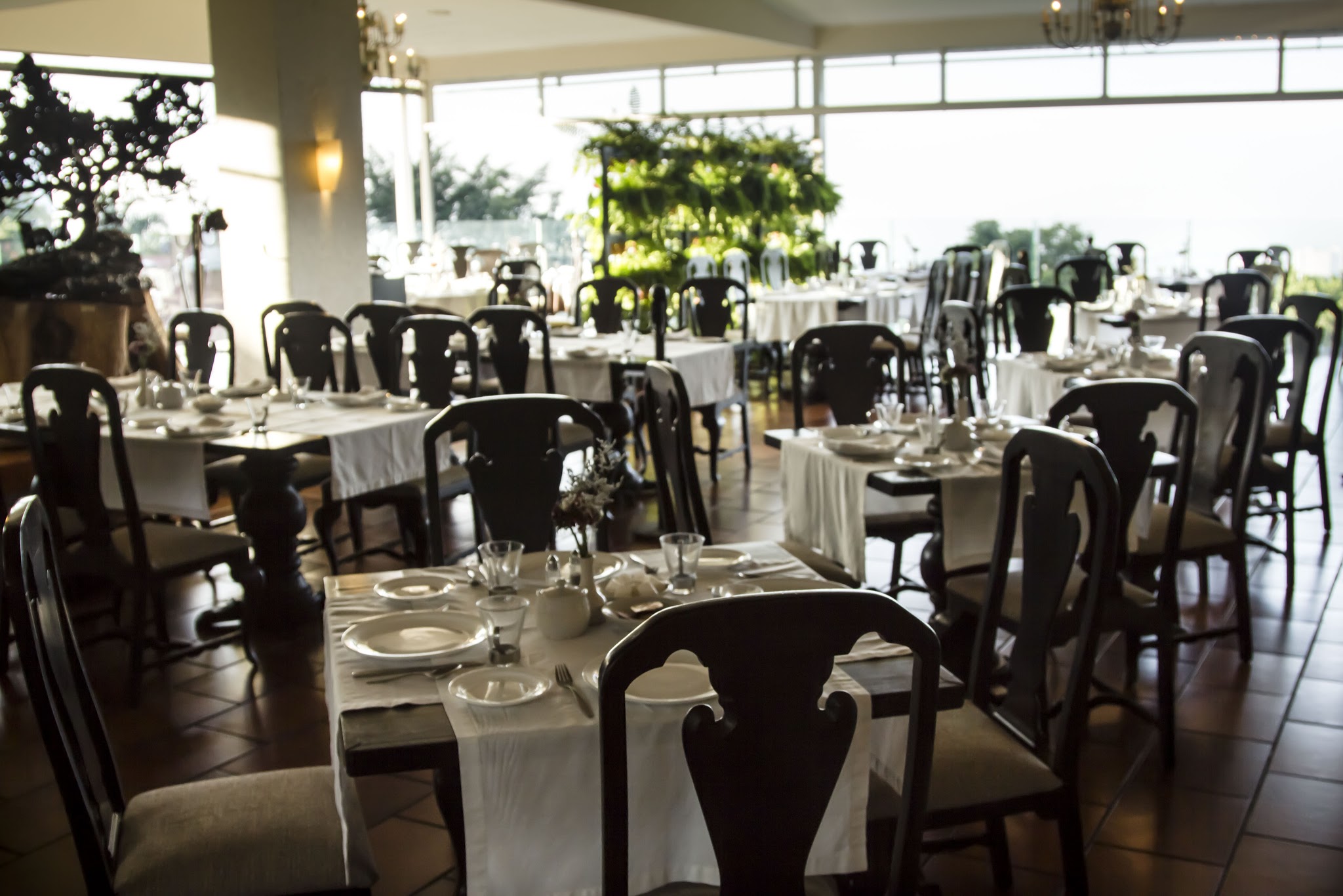 Los Alcatraces image 1