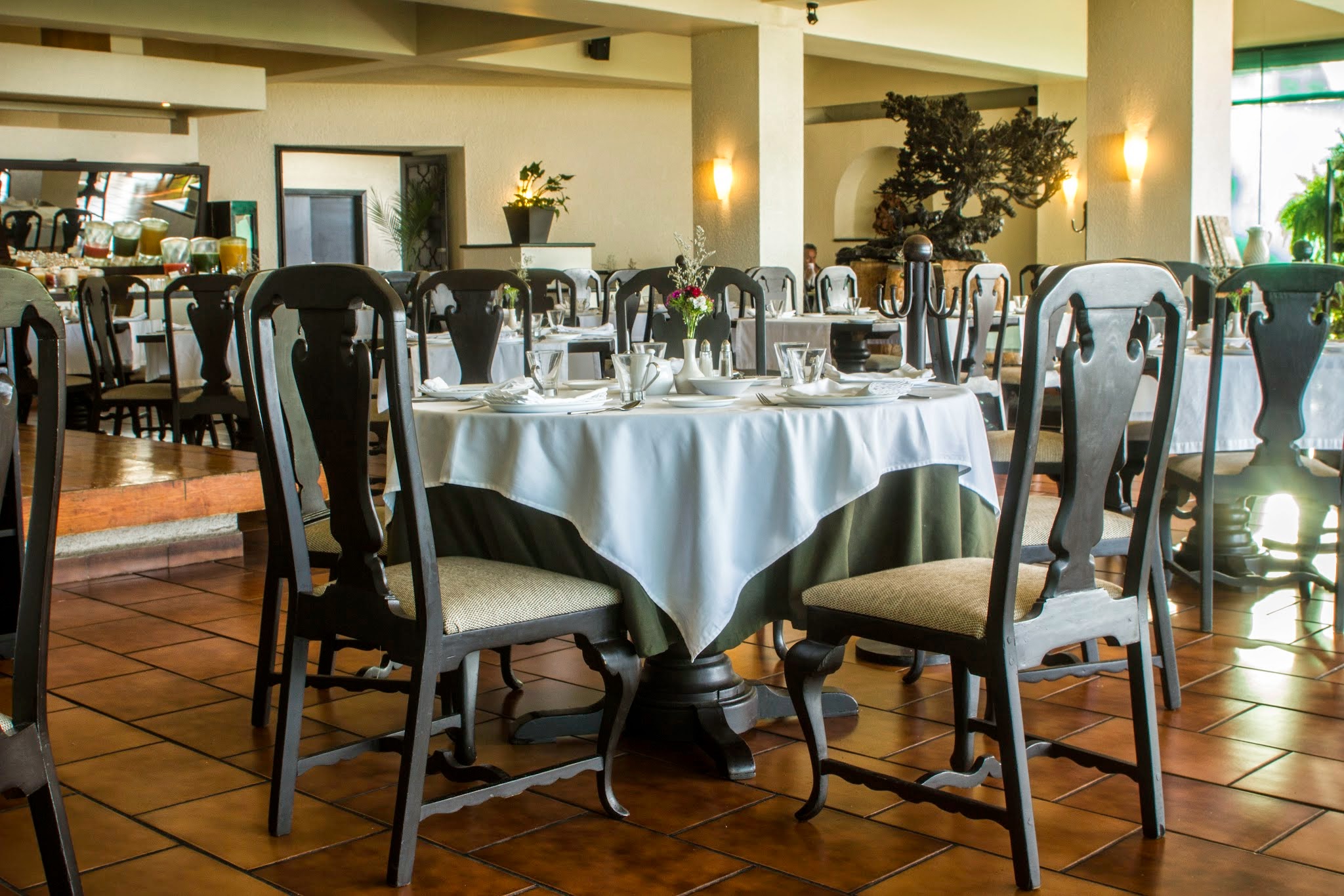 Los Alcatraces image 5