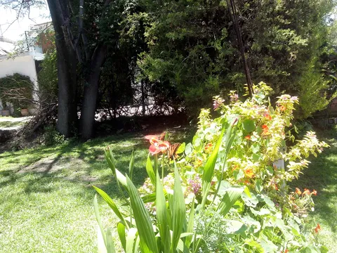 El Altillo image 3