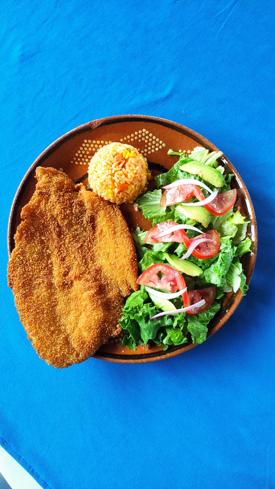 Cascada terraza image 5