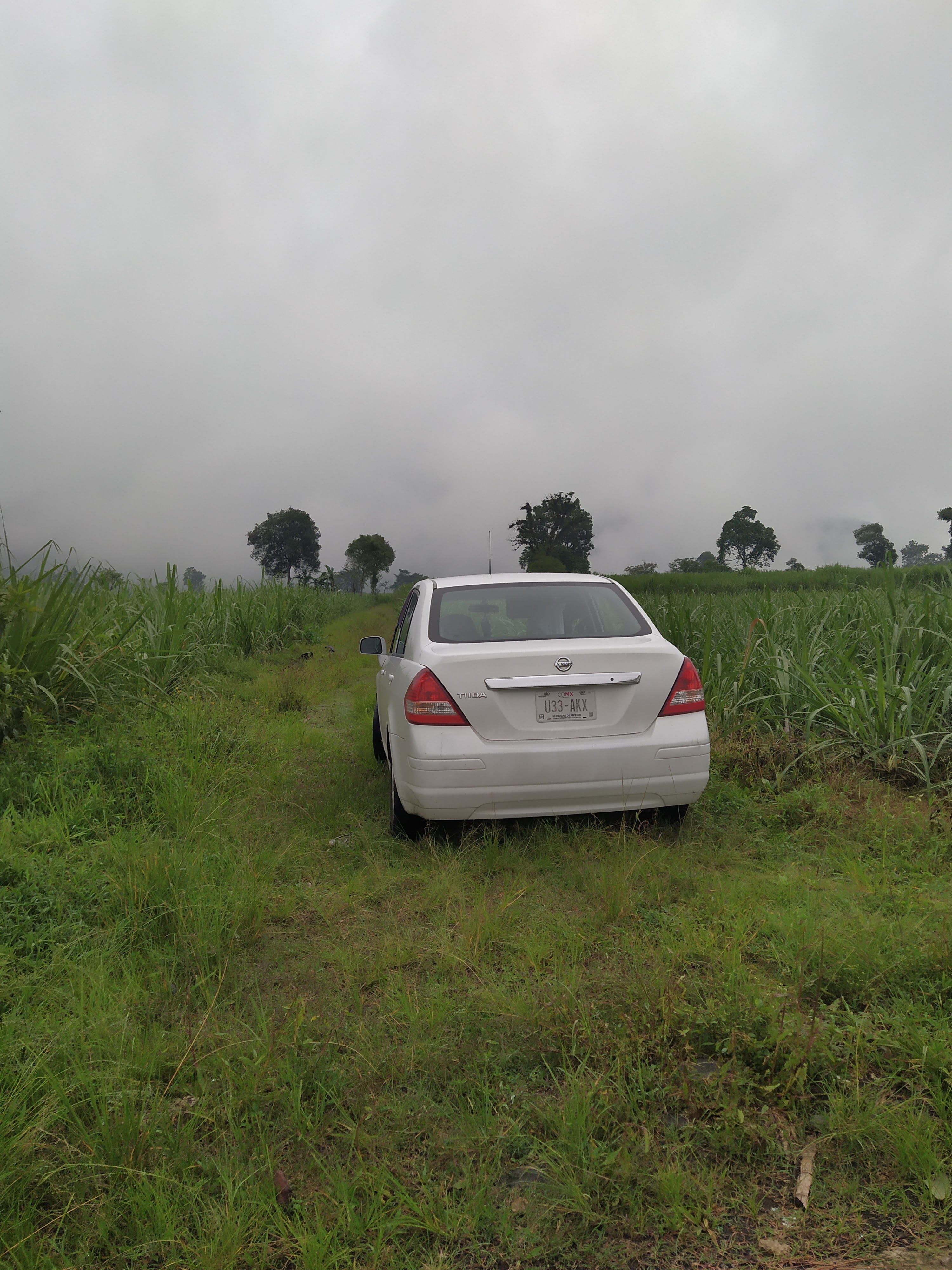 Antojitos Adriana image 4