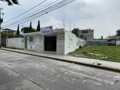 La Malinche drink & food garden image 4
