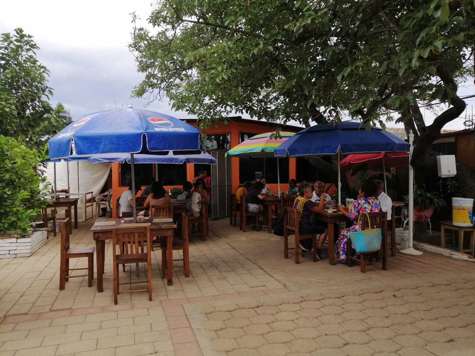 comedor "Los Aguacatales" image 3