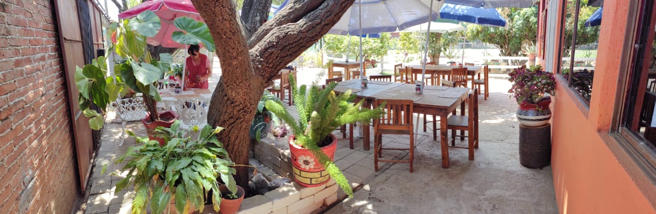 comedor "Los Aguacatales" image 7