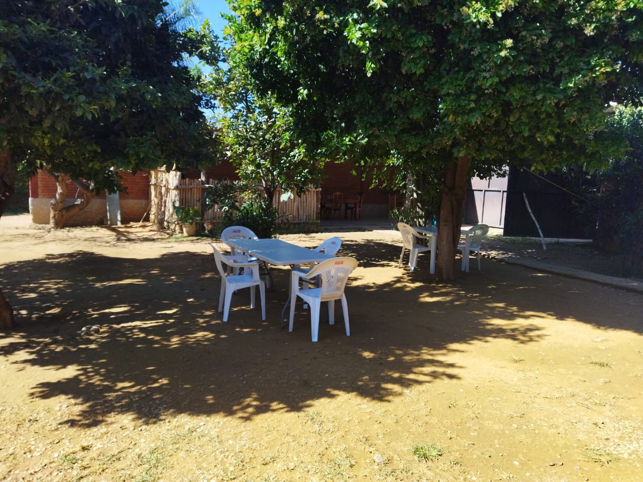 Marisquería Pinotepa image 8