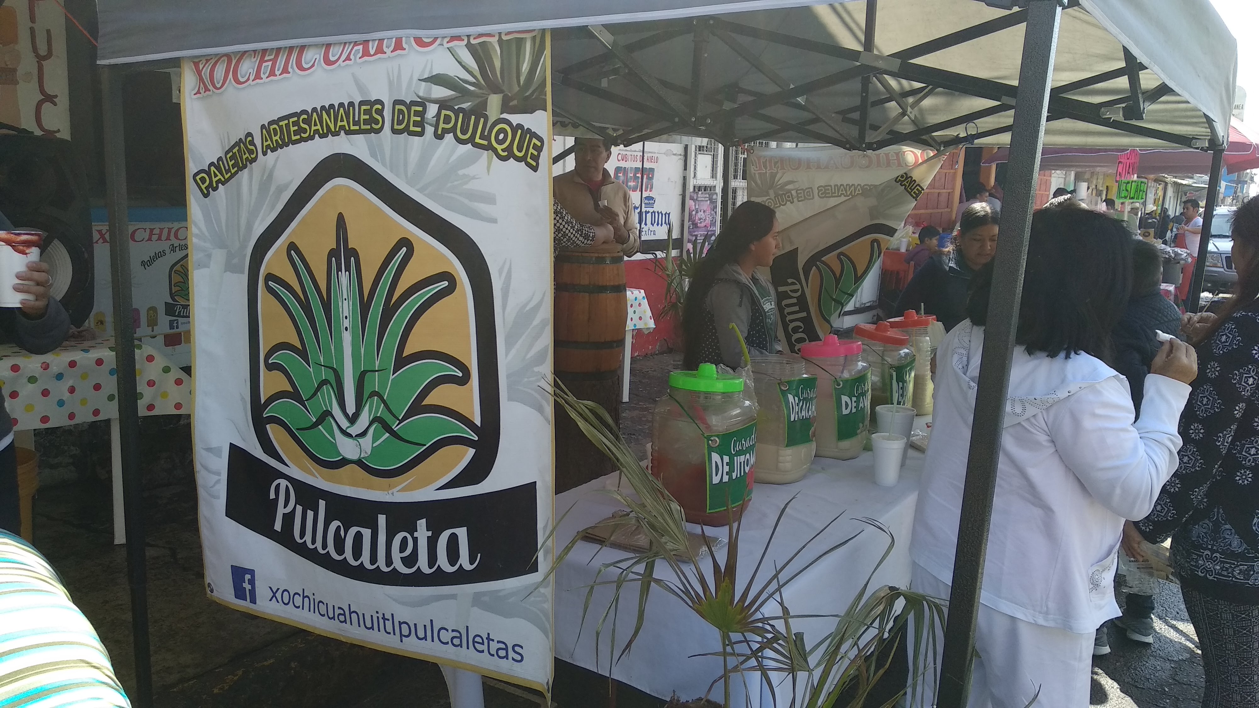 xochicuahuitl pulcaletas image 2