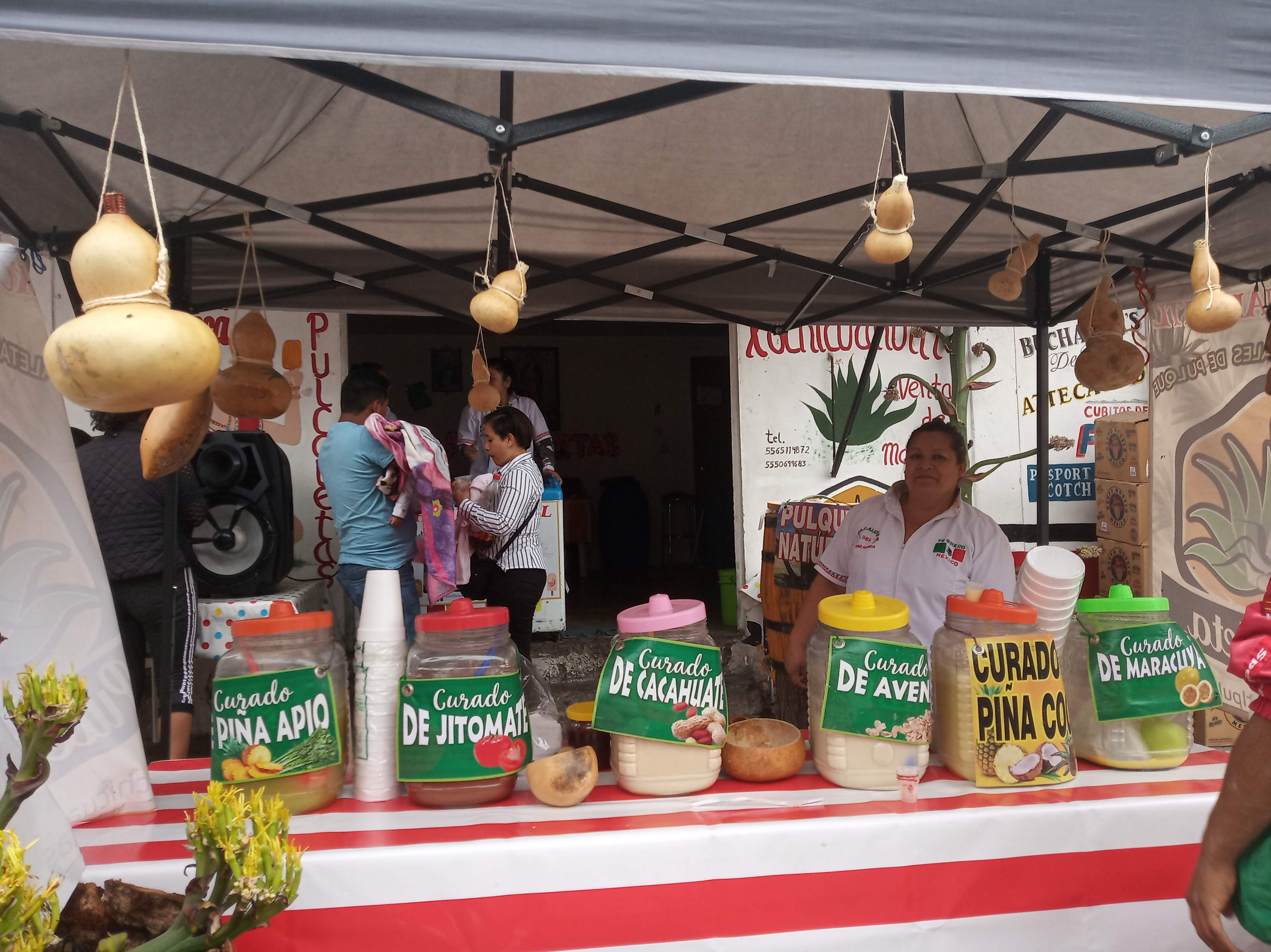 xochicuahuitl pulcaletas image 4