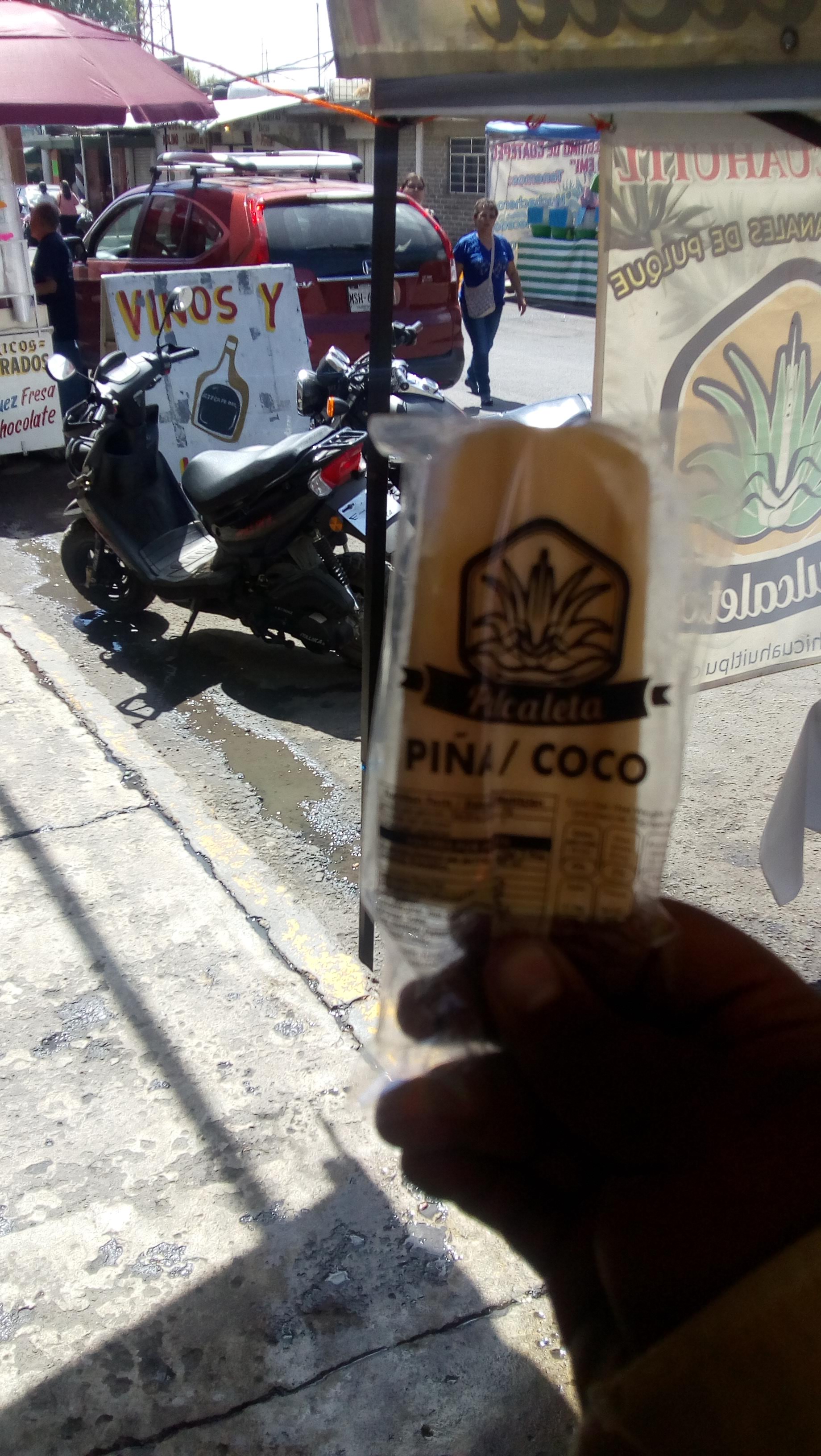 xochicuahuitl pulcaletas image 5