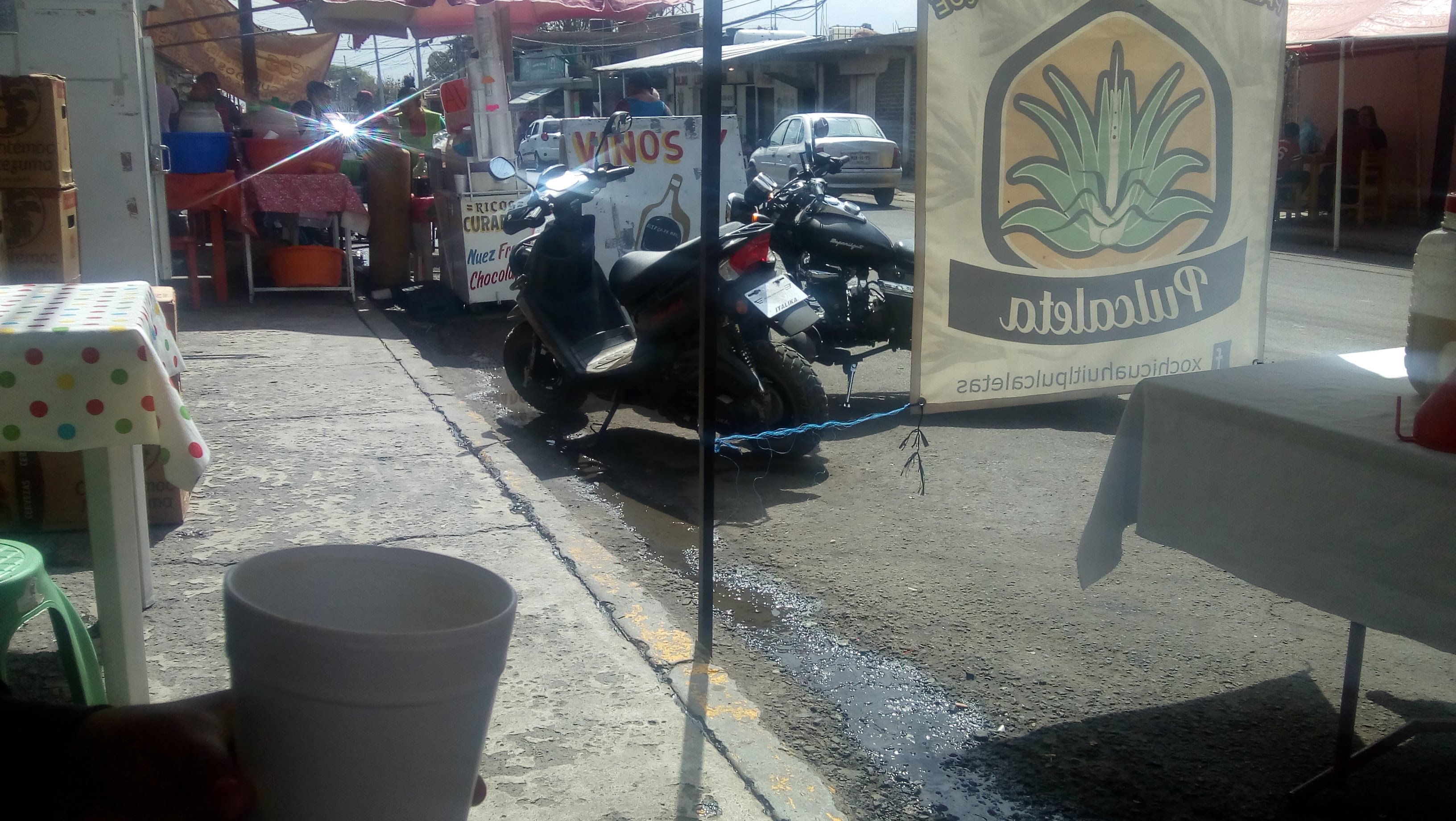 xochicuahuitl pulcaletas image 6