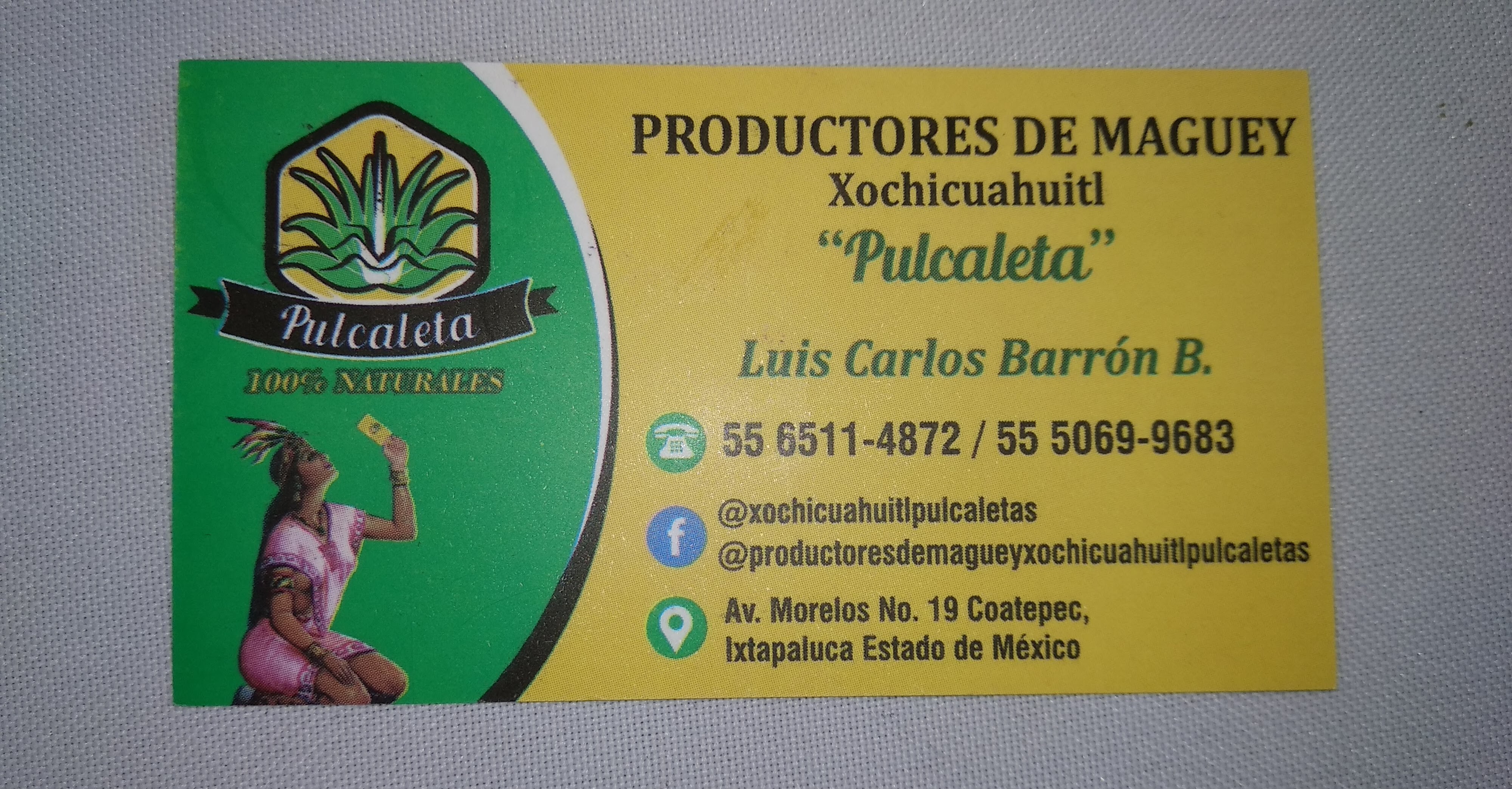 xochicuahuitl pulcaletas image 7