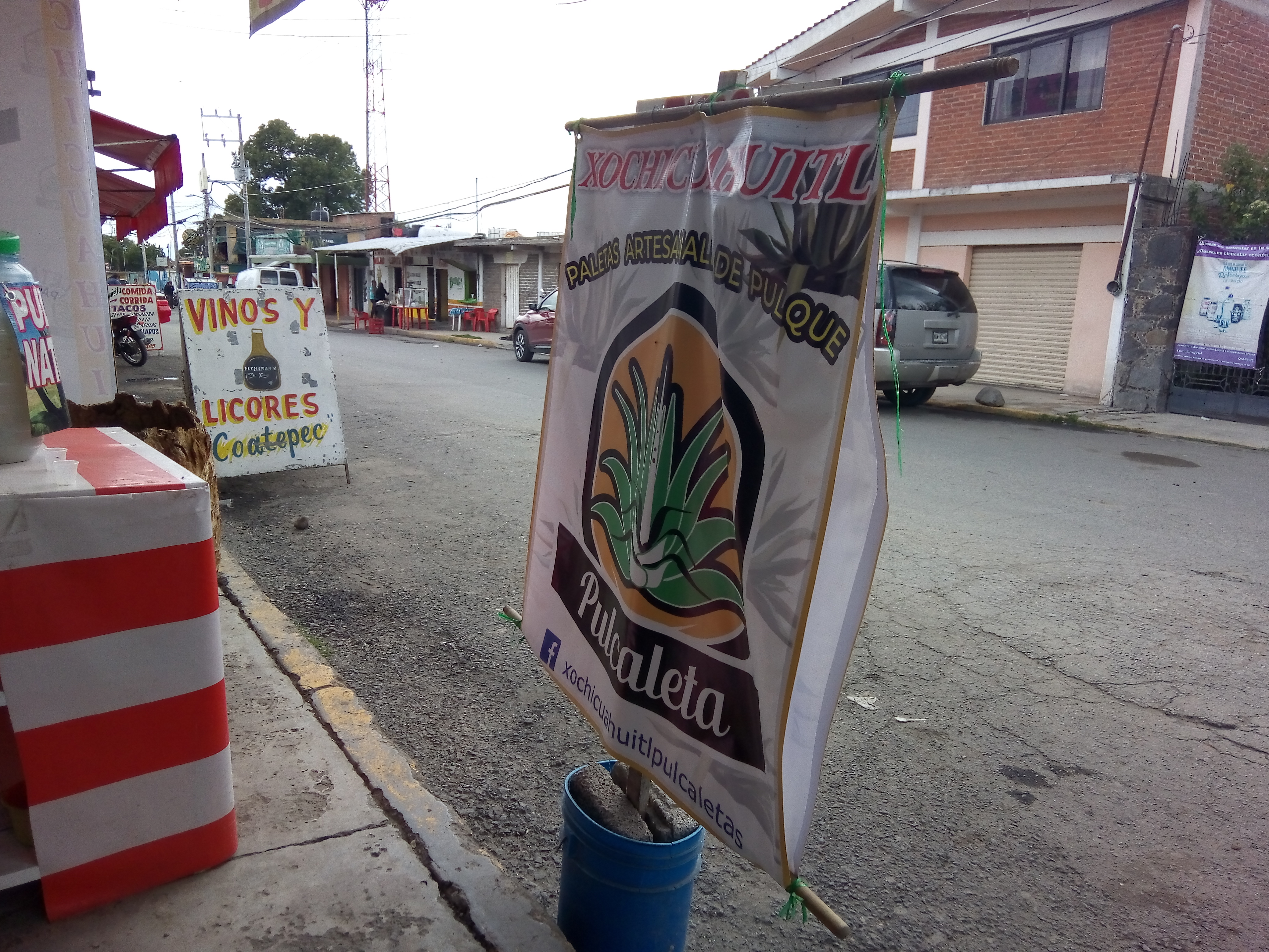 xochicuahuitl pulcaletas image 8