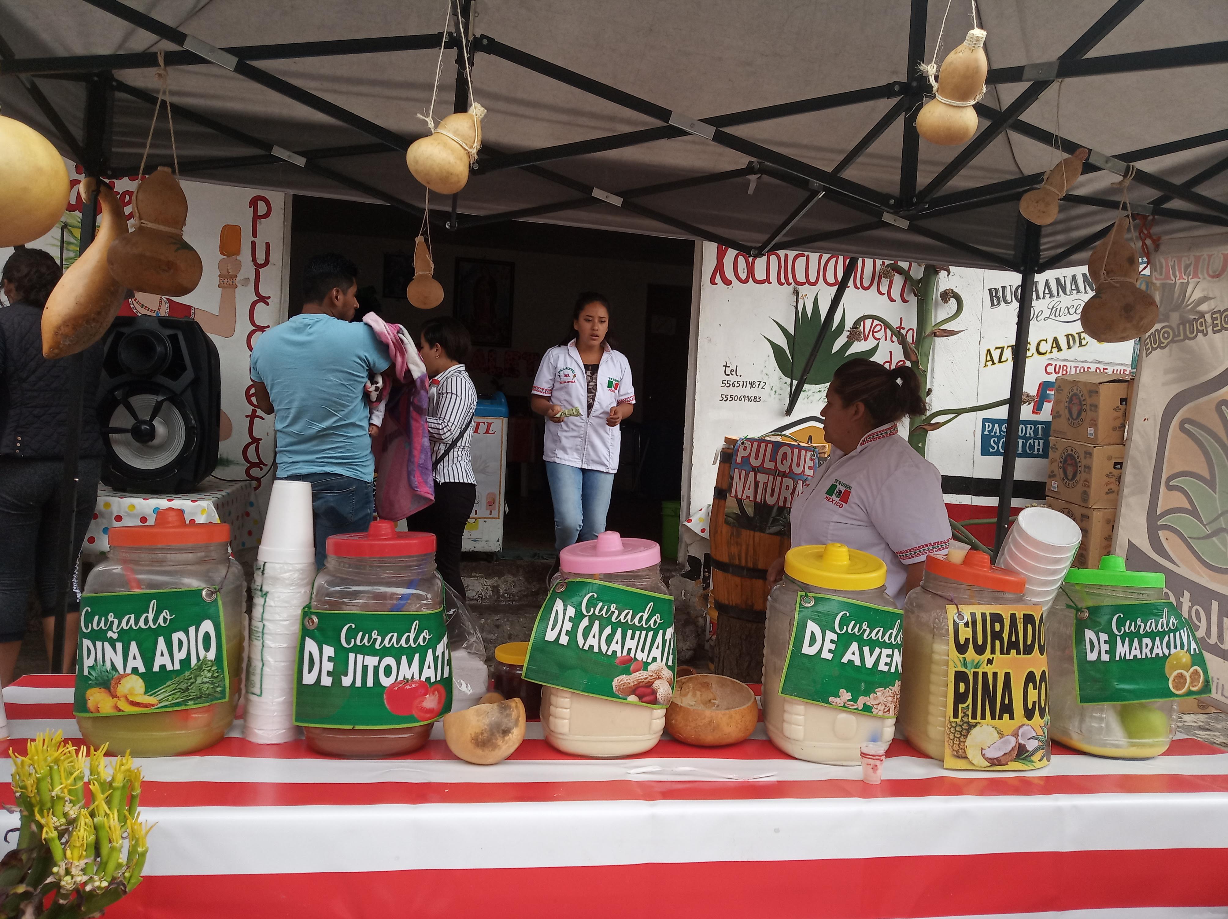 xochicuahuitl pulcaletas image 10