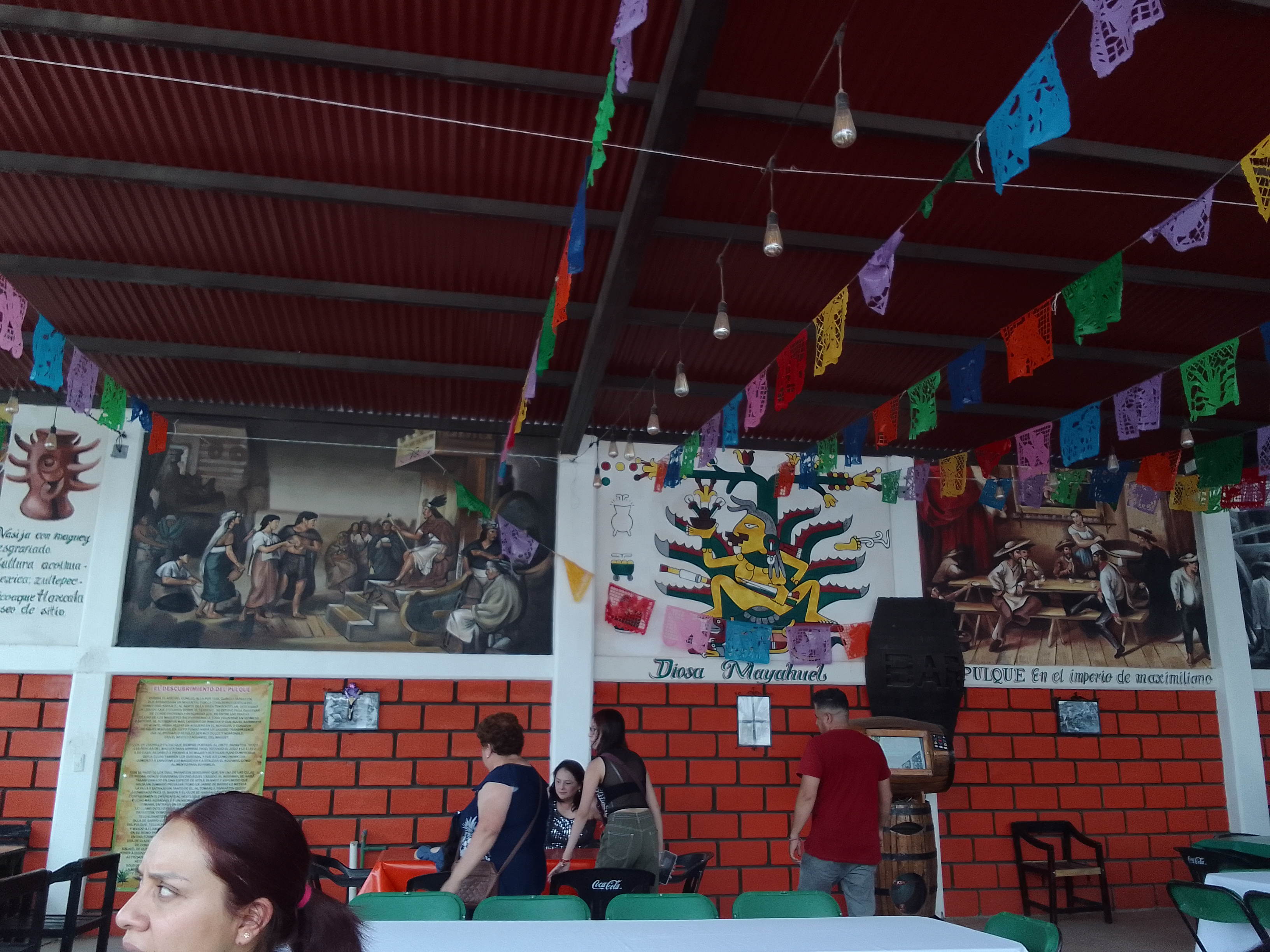 La Xoma del tigre image 2