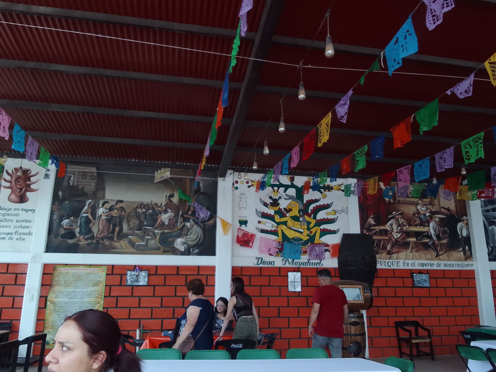 La Xoma del tigre image 2