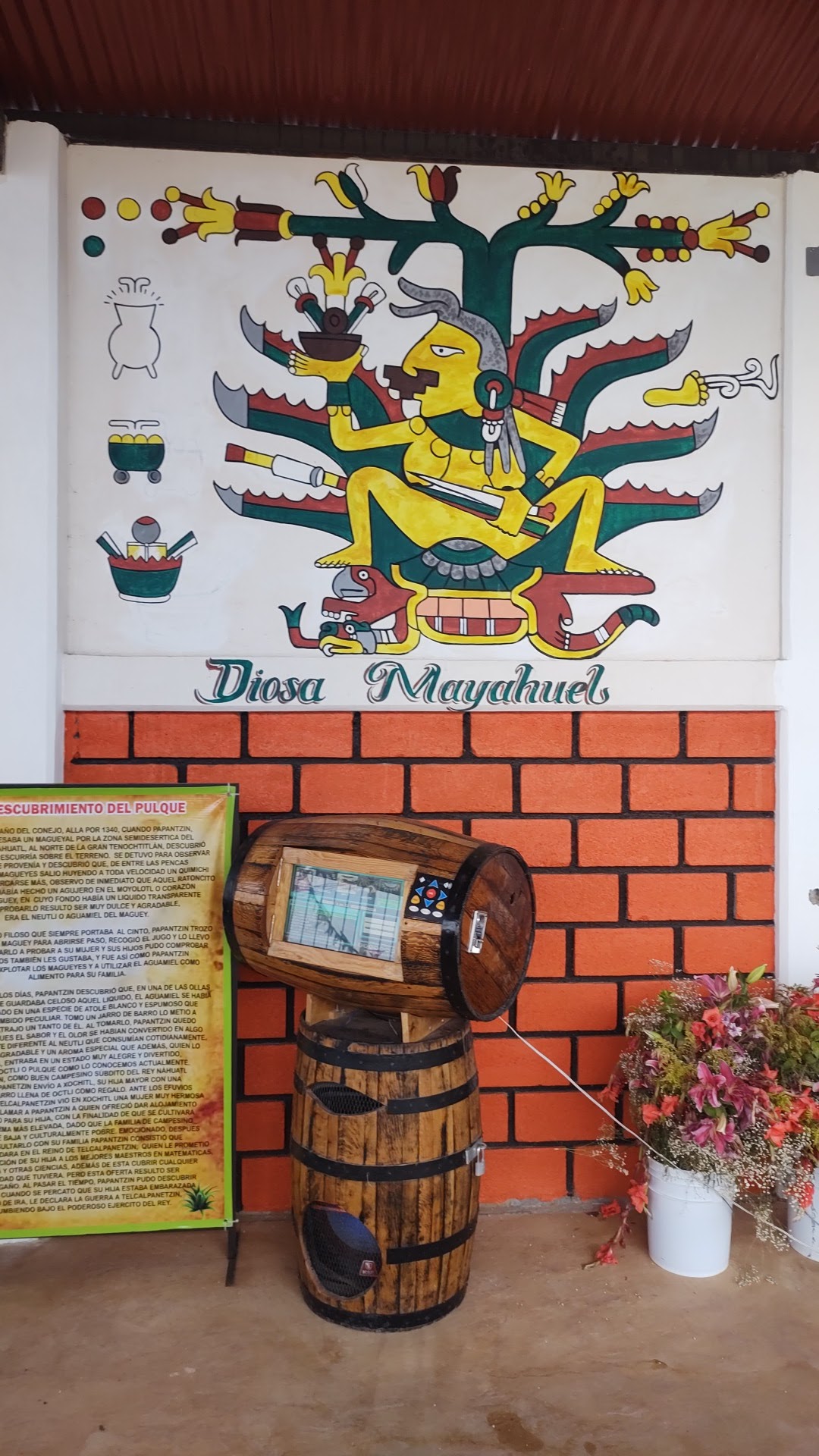 La Xoma del tigre image 9