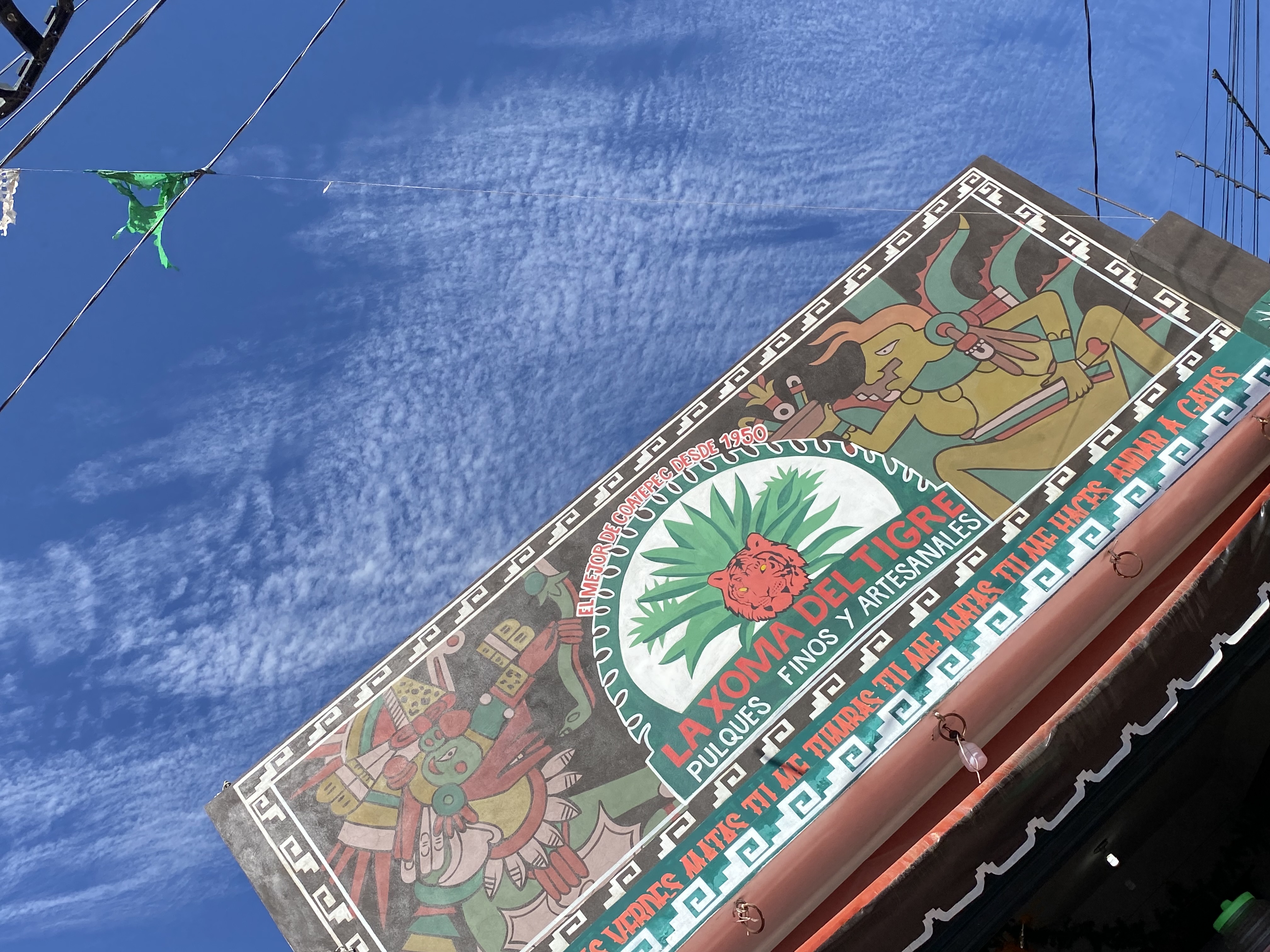 La Xoma del tigre image 10